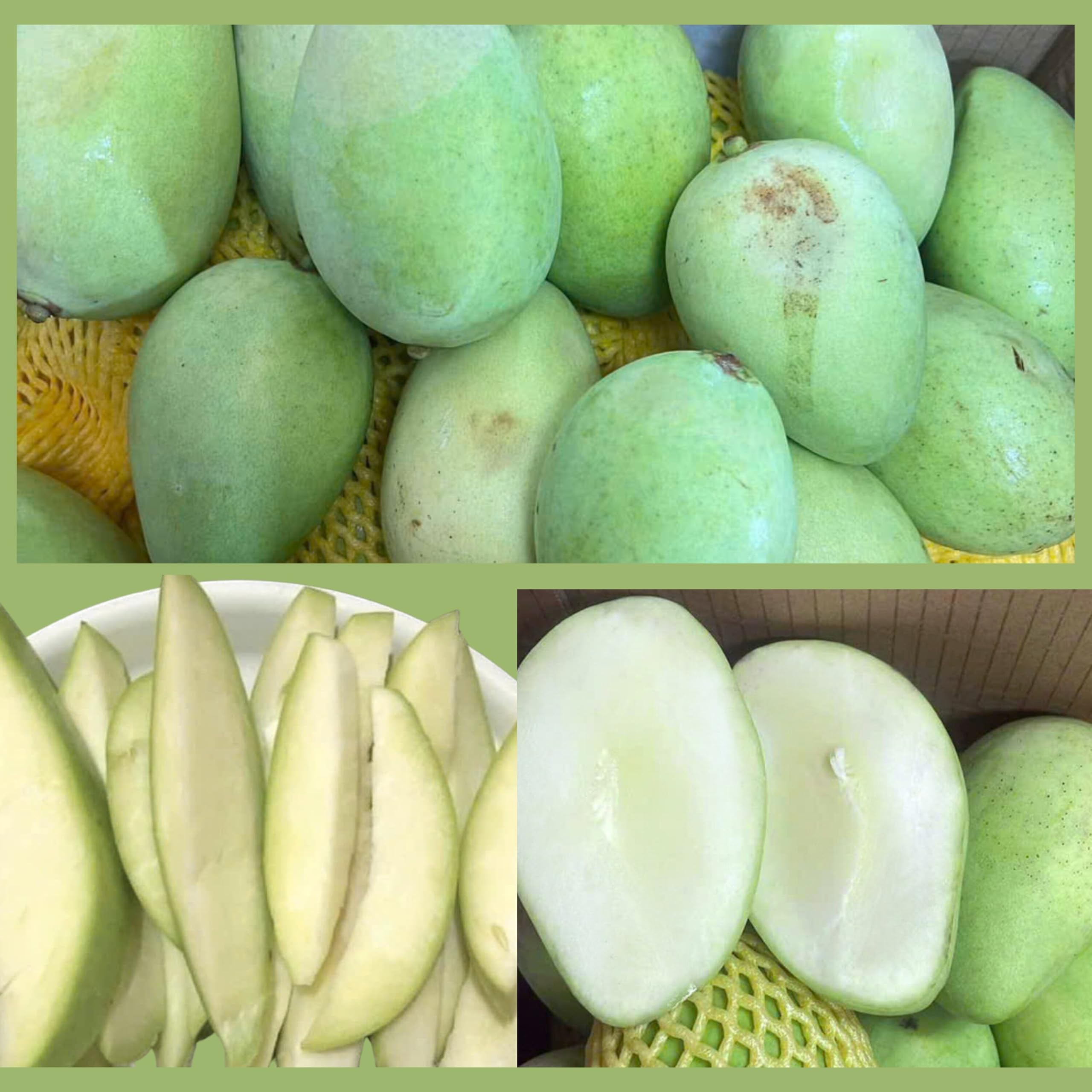 Amazon.co.jp: 【SAM&AIMEE STORE】ベトナム産 グリーンマンゴー 1