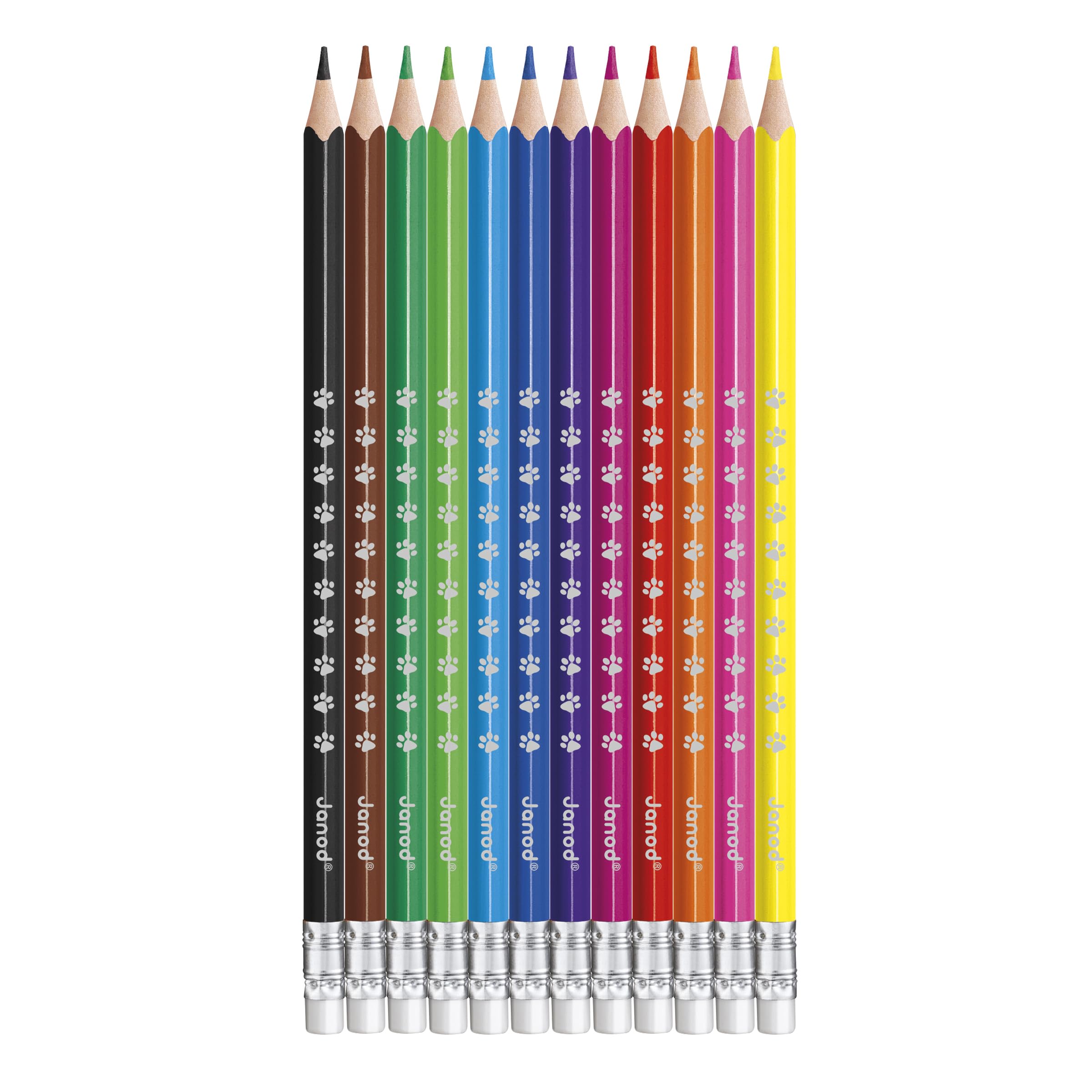 Janod - Set de 12 Crayons Aquarellables + 1 Pinceau Inclus - Mine Tendre & Résistante - Dessinez et Peignez à la Fois - Loisirs Créatifs - Dès 3 Ans