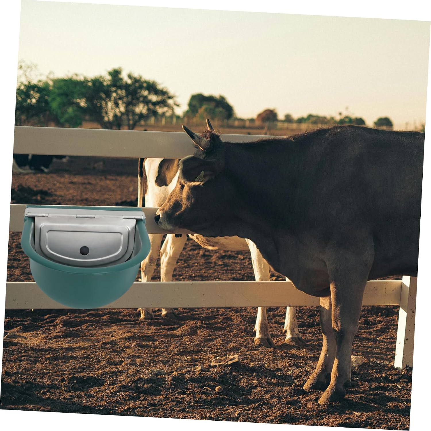 Happyyami Automatic Water Bowl for Livestock Cattle Horse Sheep Outdoor Farm Animal Waterer Heavy Duty Plastic Bowl Cover Refillable Dog Water