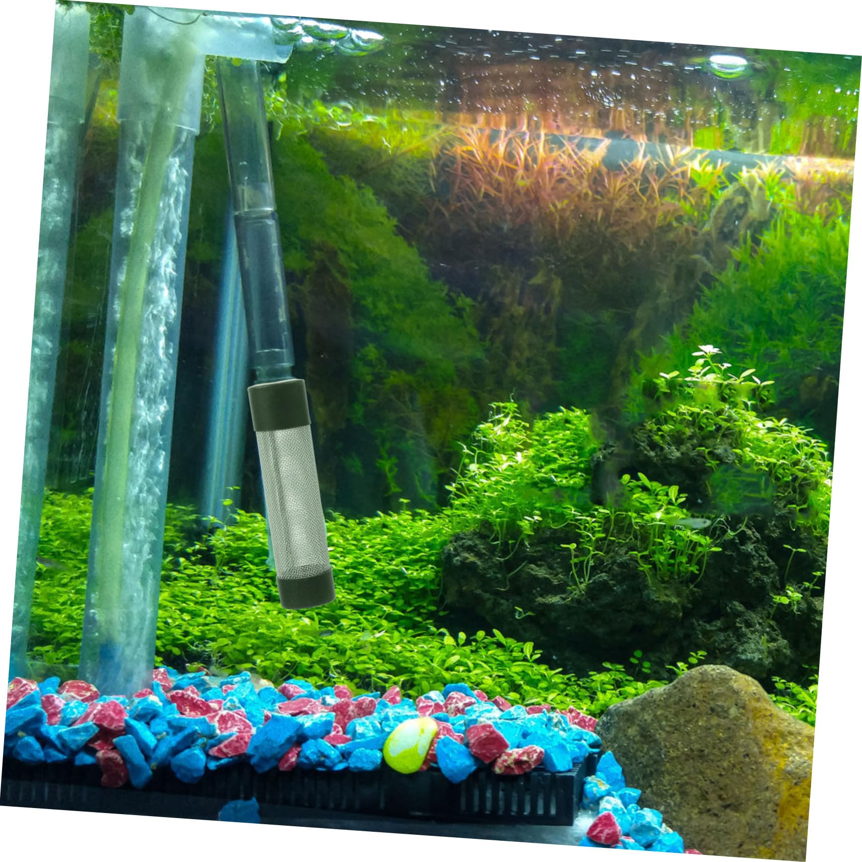 HANABASS 5stücke Metal Aquarium Filter Austauschbare Tankfilter Mit Schutzgitter Für Garnelen Und Fische Rostfreies Material Leicht Zu Reinigen Und Langlebig Für Aquarien Und