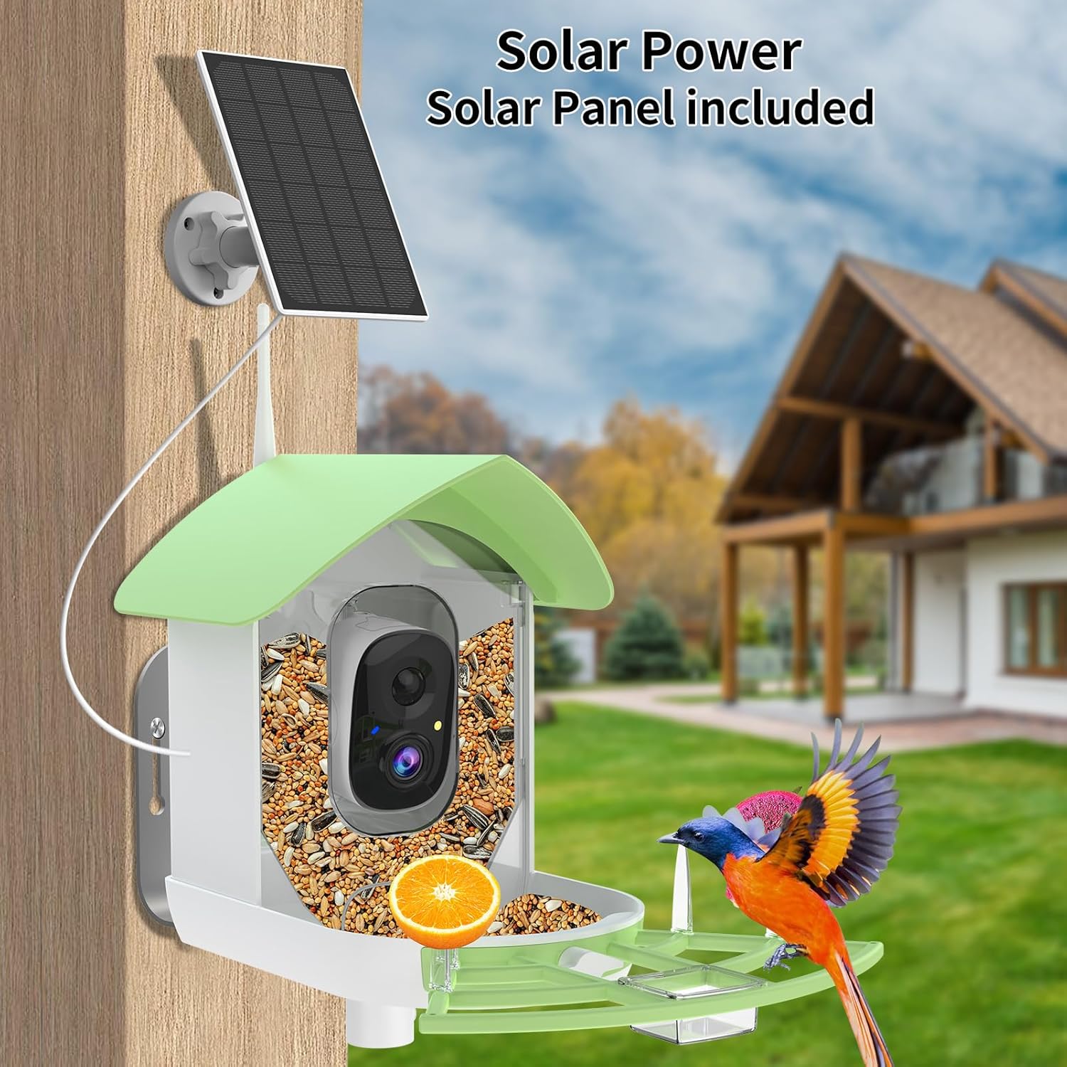 Fazoxo Smart AI Bird Feeder with Solar Panel mounted on a tree