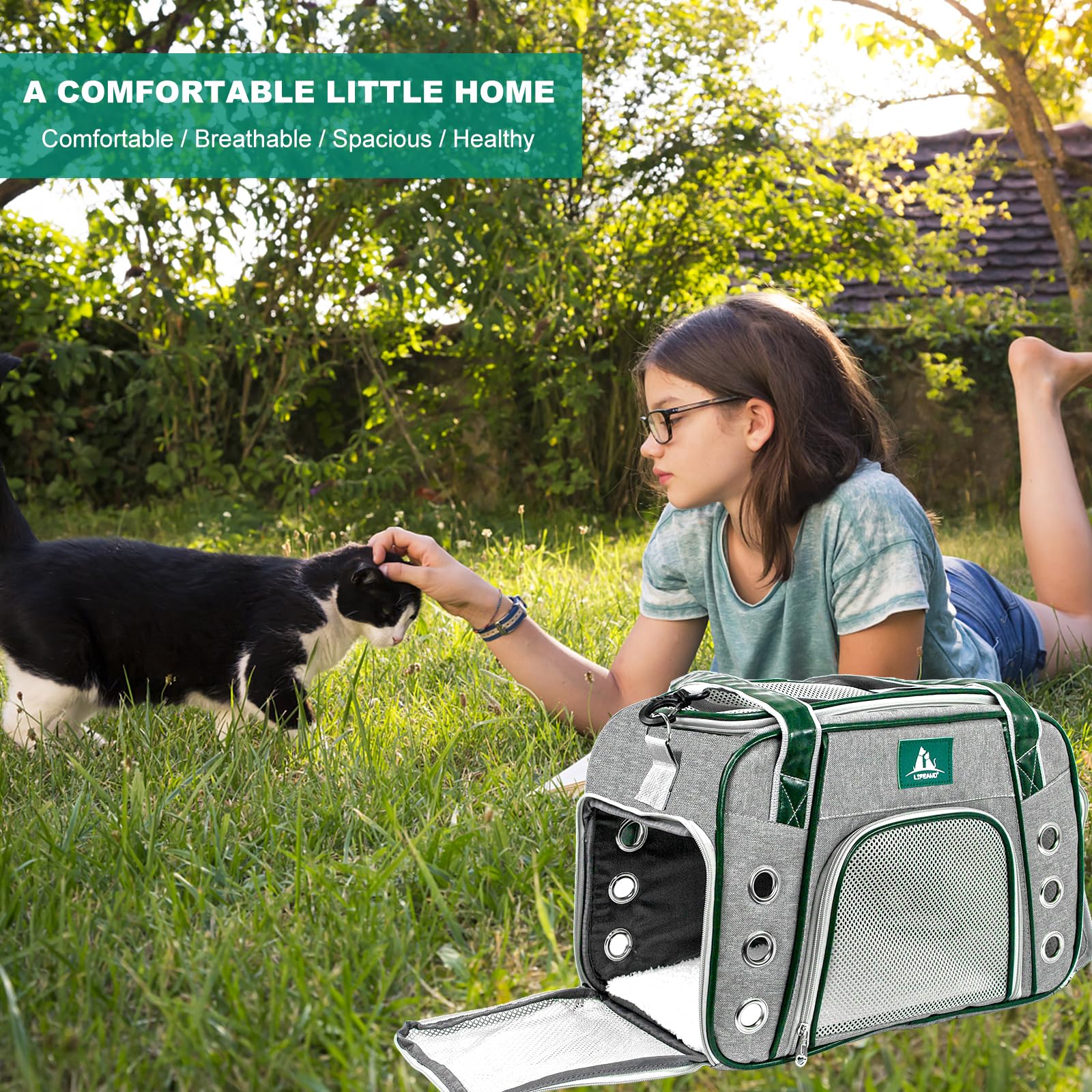 Lifeand Transportador de mascotas aprobado por aerolíneas para gatos, perros pequeños, gatitos, transportador de viaje plegable de lados suaves para gatos pequeños y medianos de menos de 18 libras
