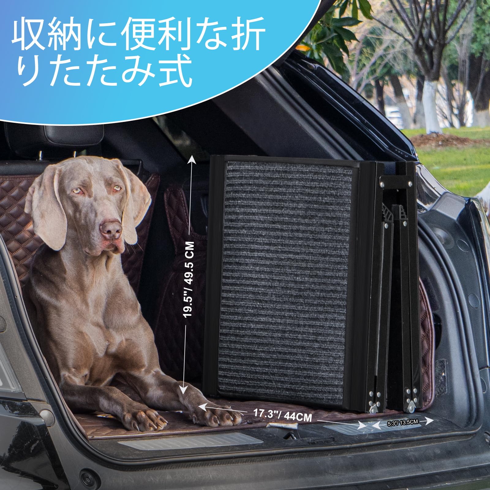 Amazon.co.jp: Uross 3つ折り ペット スロープ [ 全長 180cm