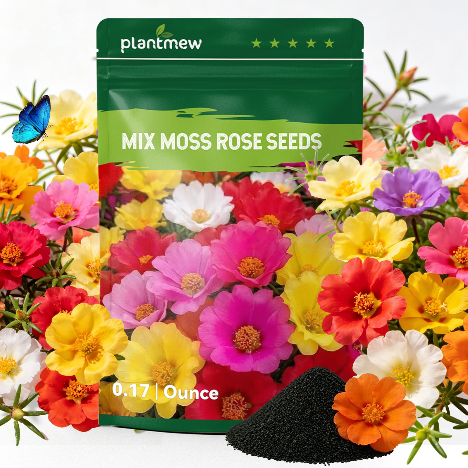 PLANTMEW 24000 Moss Rose Seeds