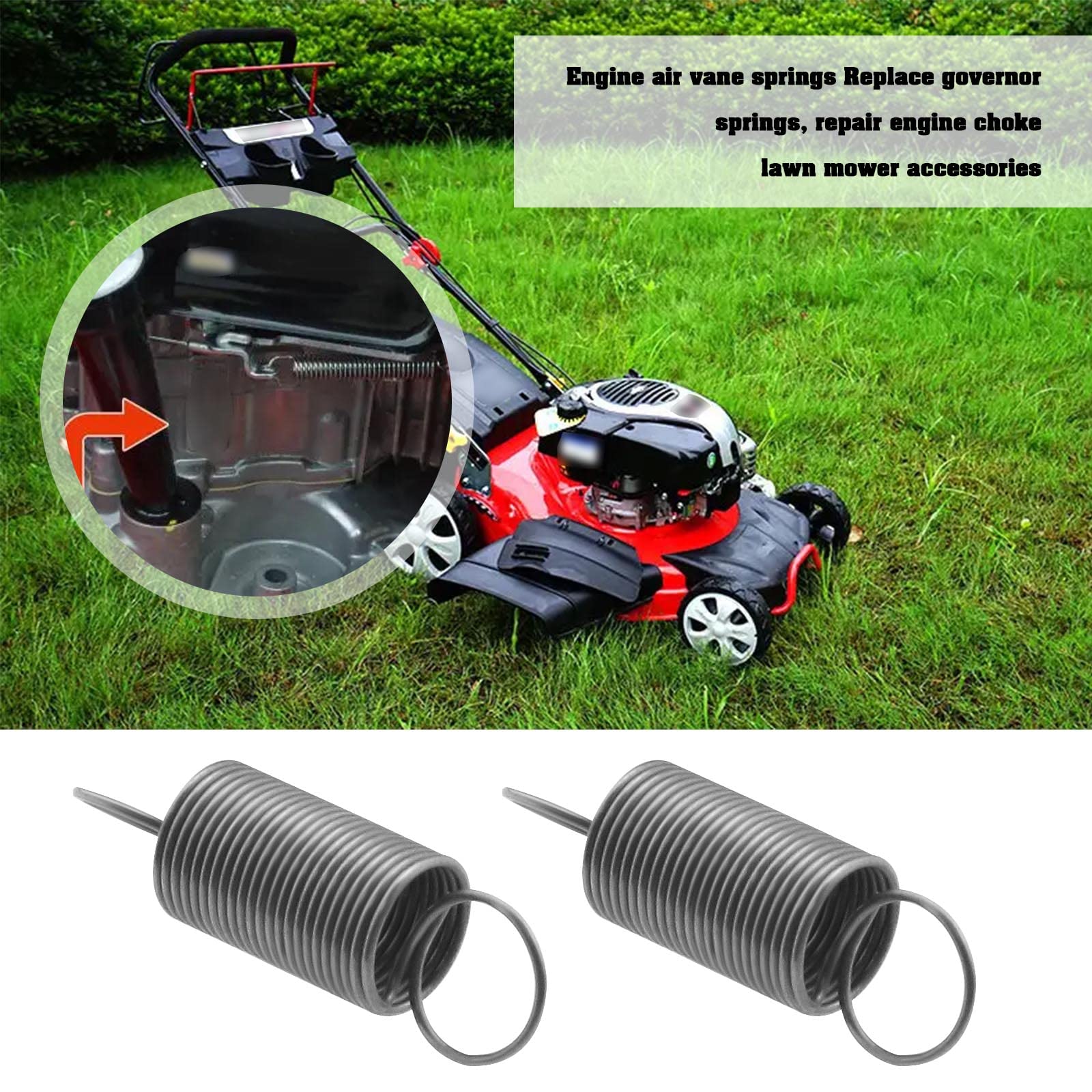 SG Store 2 Set Governor Feder Luftfahne Feder Ersatz 790849 699056 