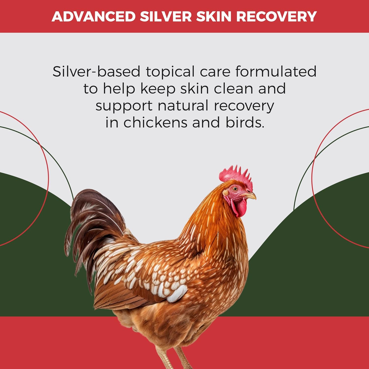 SHEVAT VITAMINS Silver Wound Spray for Chickens & Birds – Gentle Skin Relief for Scrapes, Cuts, Rashes & Irritation – Non-Stinging, Alcohol-Free, Safe for Feathers & Skin – 120ml (4oz)