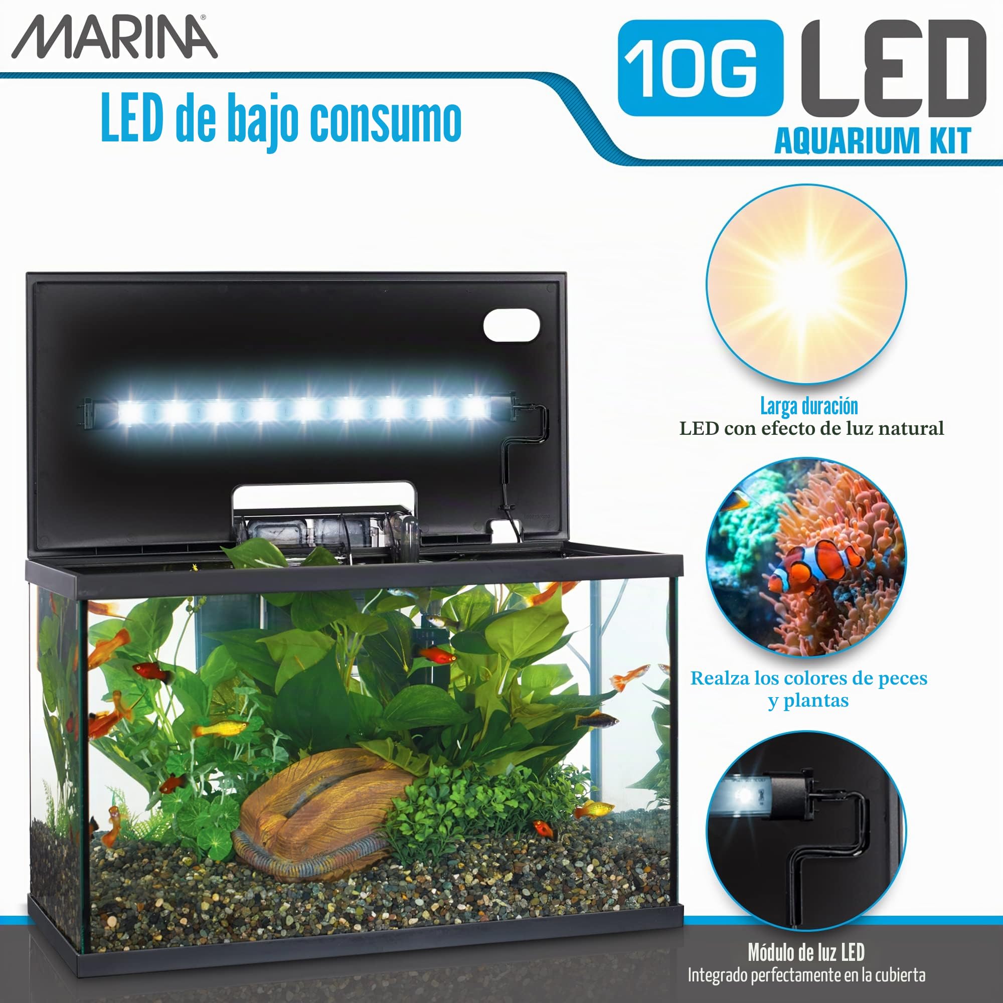 Marina 15256 - Kit de Acuario con Iluminación LED 10G, 38 L, Transparente