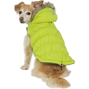 cat carrier for 2 cats