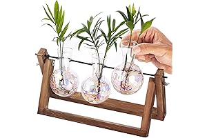 Kingbuy Crystal Growing Terrarium: A Harmonious Dance of Nature and Beauty