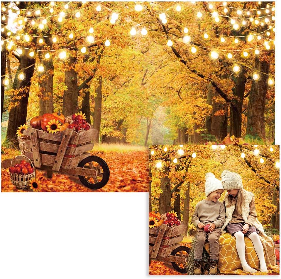 Funnytree Autumn Forest Photography Backdrop Fall Landscape Maple Leaves Backgound Thanksgiving Natural Scenery Pumpkins Harvest Party Banner Decor Portrait Photobooth Studio Props 7x5ft