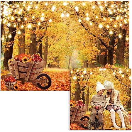 8X6FT Fall Thanksgiving Photography Backdrop Rustic Wooden Floor Barn Harvest Photo Background Autumn Pumpkins Harvest Party Baby Shower Cake Table Decoration Banner Studio Booth Props - View #4