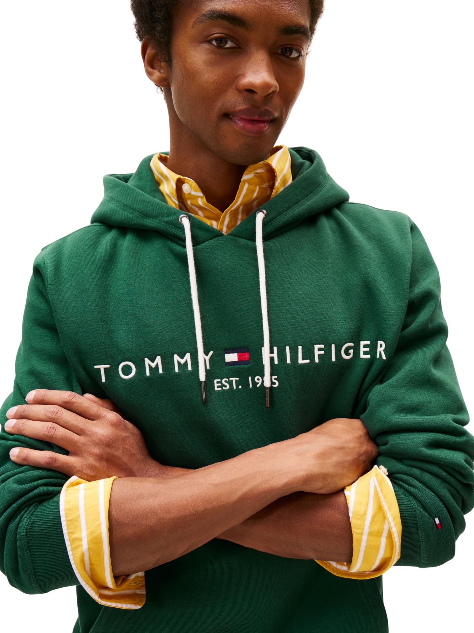 Tommy Hilfiger Męska bluza z kapturem TOMMY LOGO MW0MW11599, zielona, XL, Zielony (ozdobny zielony), XL