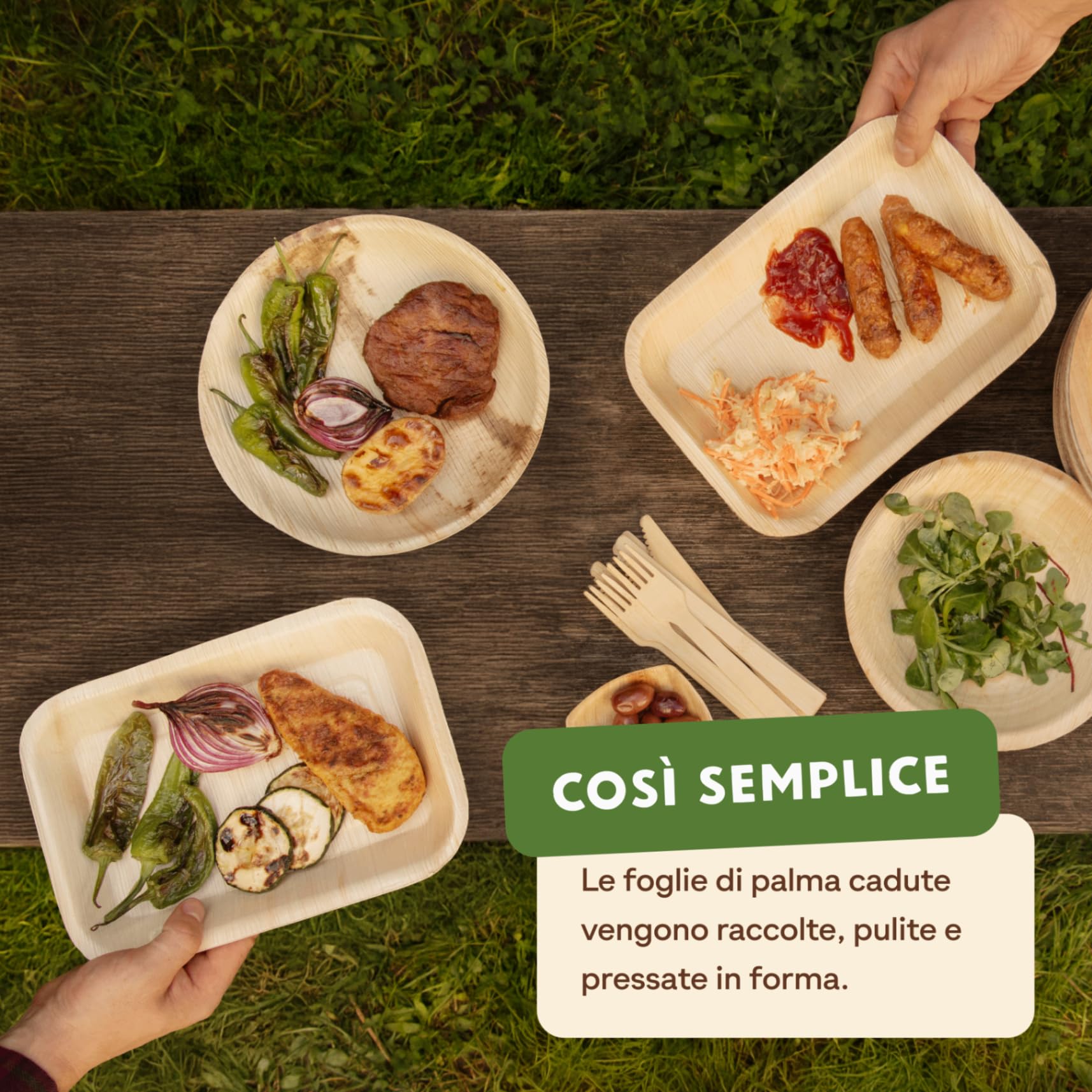 Leef® Piatti foglia di Palma [23 x 16 cm] piatti usa e getta come alternativa ai piatti carta [50 pz] piatti di carta eleganti come piatti carta compleanno | piatti compostabili finger food