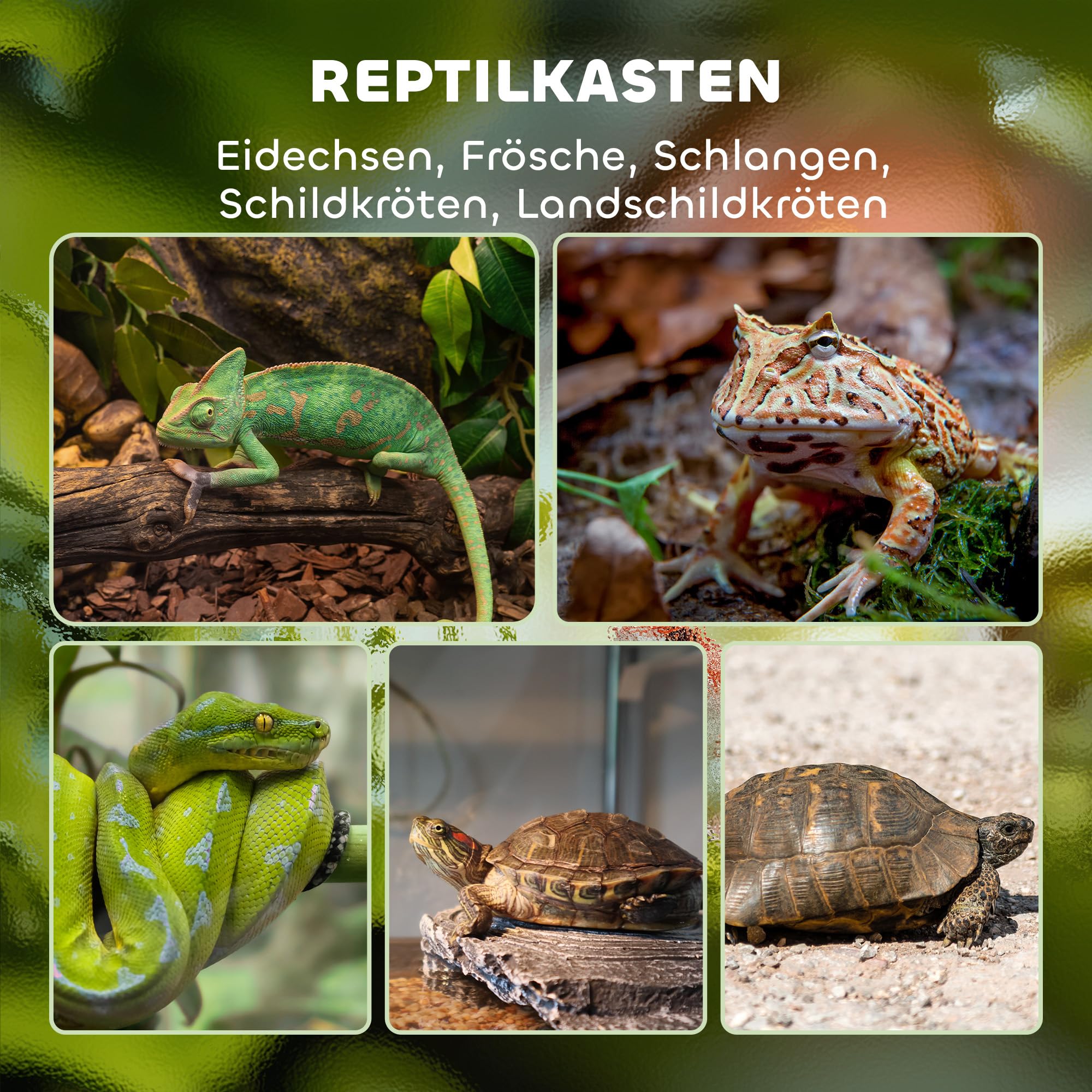 PawHut Terrarium dla gadów, pojemnik na karmienie gadów, z zabezpieczeniem przed ucieczką, wentylacja 120 l, szklane sterrarium z zarządzaniem kablami, dla płazów, metalowe, czarne, 45 x 45 x 60 cm