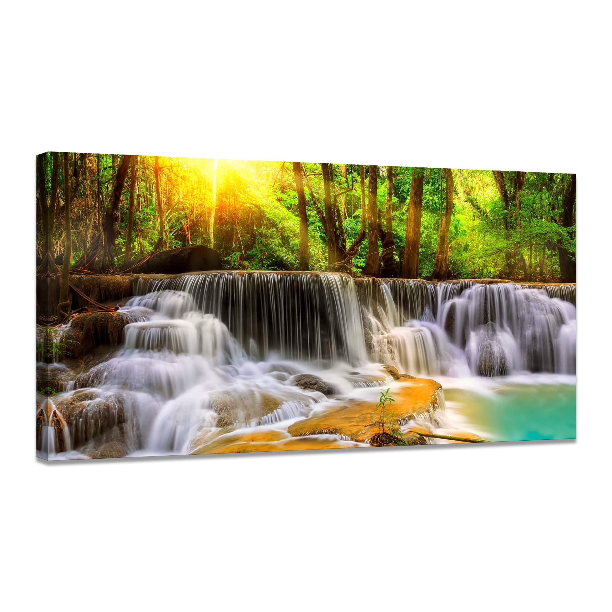 Amazon.co.jp: Forest Poster Sunshine Painting Entrance Picture