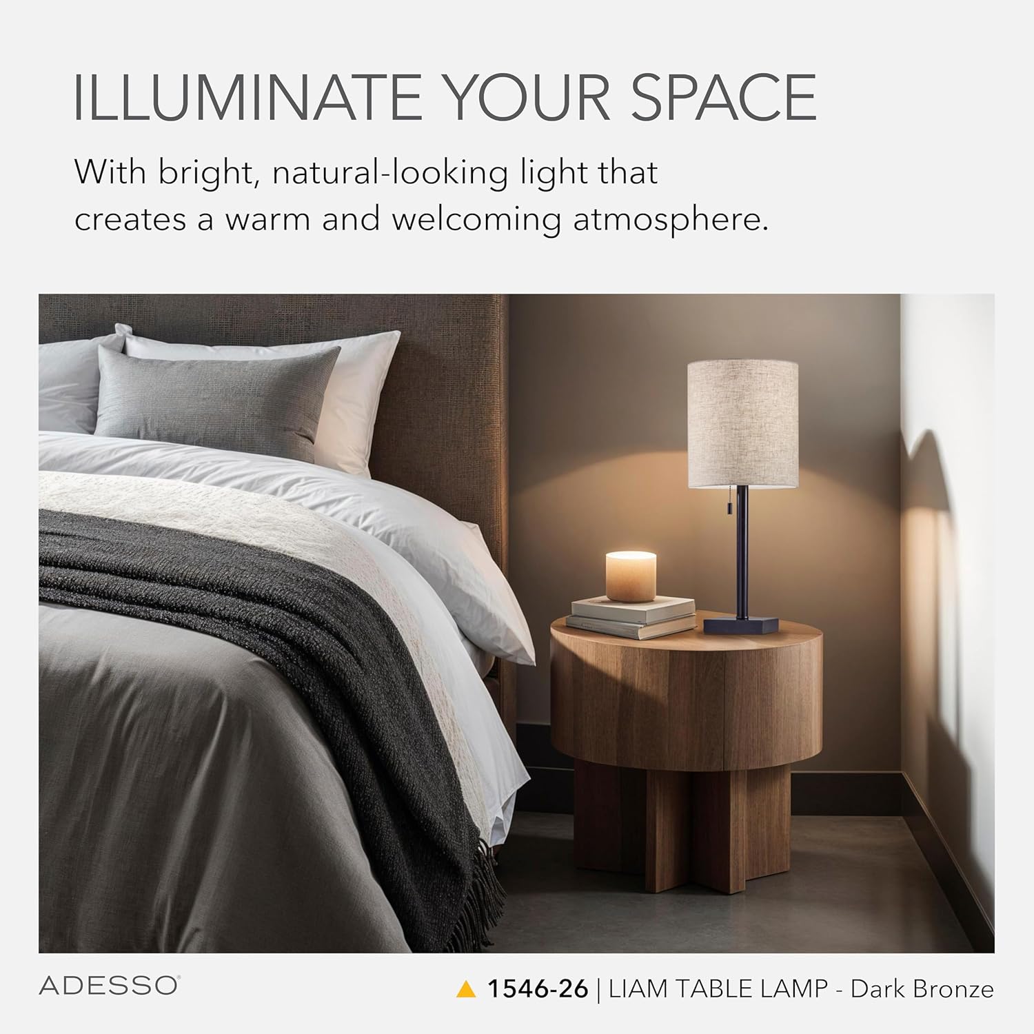 Adesso 1546-22 Liam Table Lamp, 22 in., 60 W Incandescent/13 W CFL, Dark Bronze/Natural, 1 Bronze Lamp