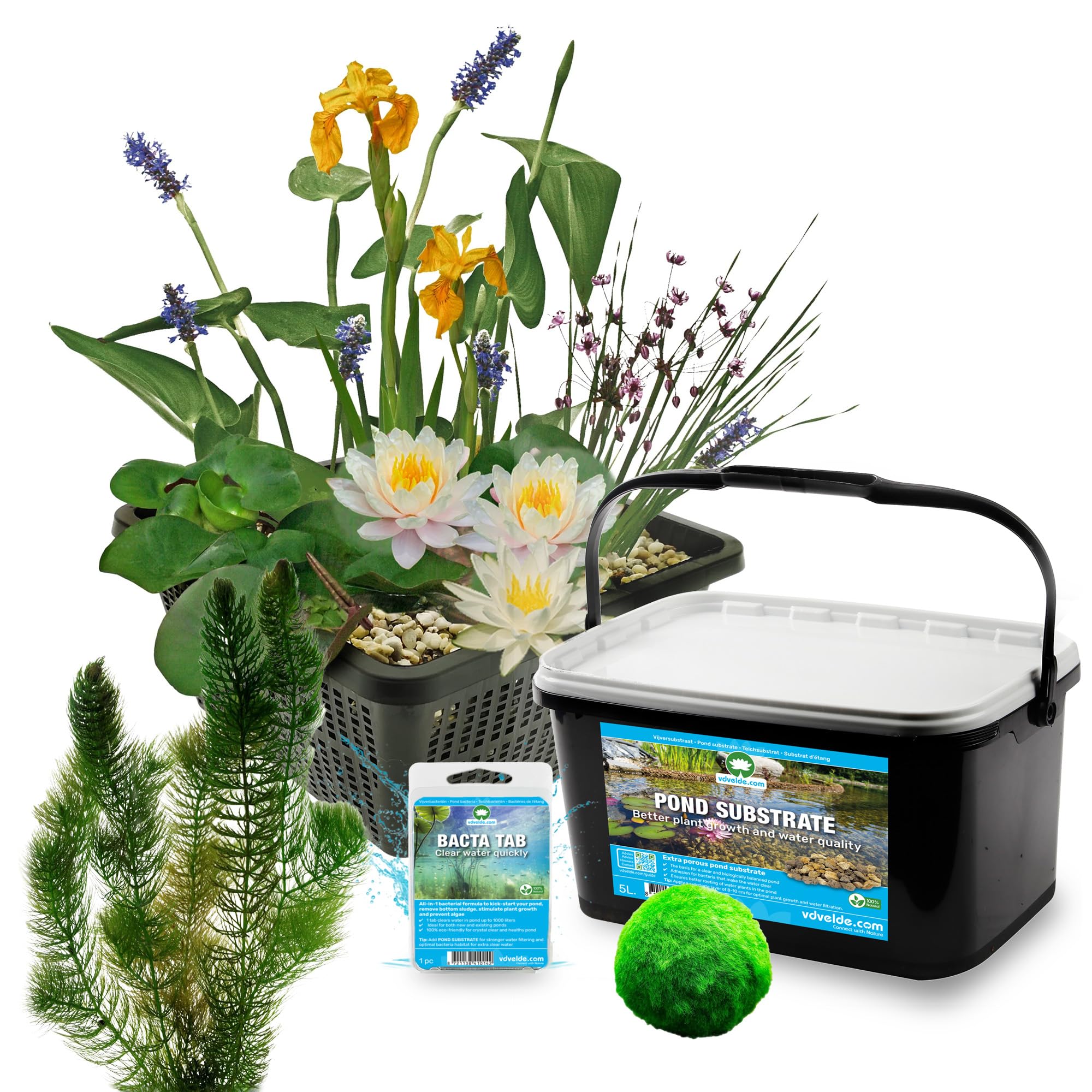 vdvelde - Set Completo Piante Laghetto Bianco 25-90L - Ninfea Nana Bianca, 11 Piante, Ossigenanti, Substrato & Batteri - Mini Laghetto senza Filtro per Acqua Limpida - Rustico