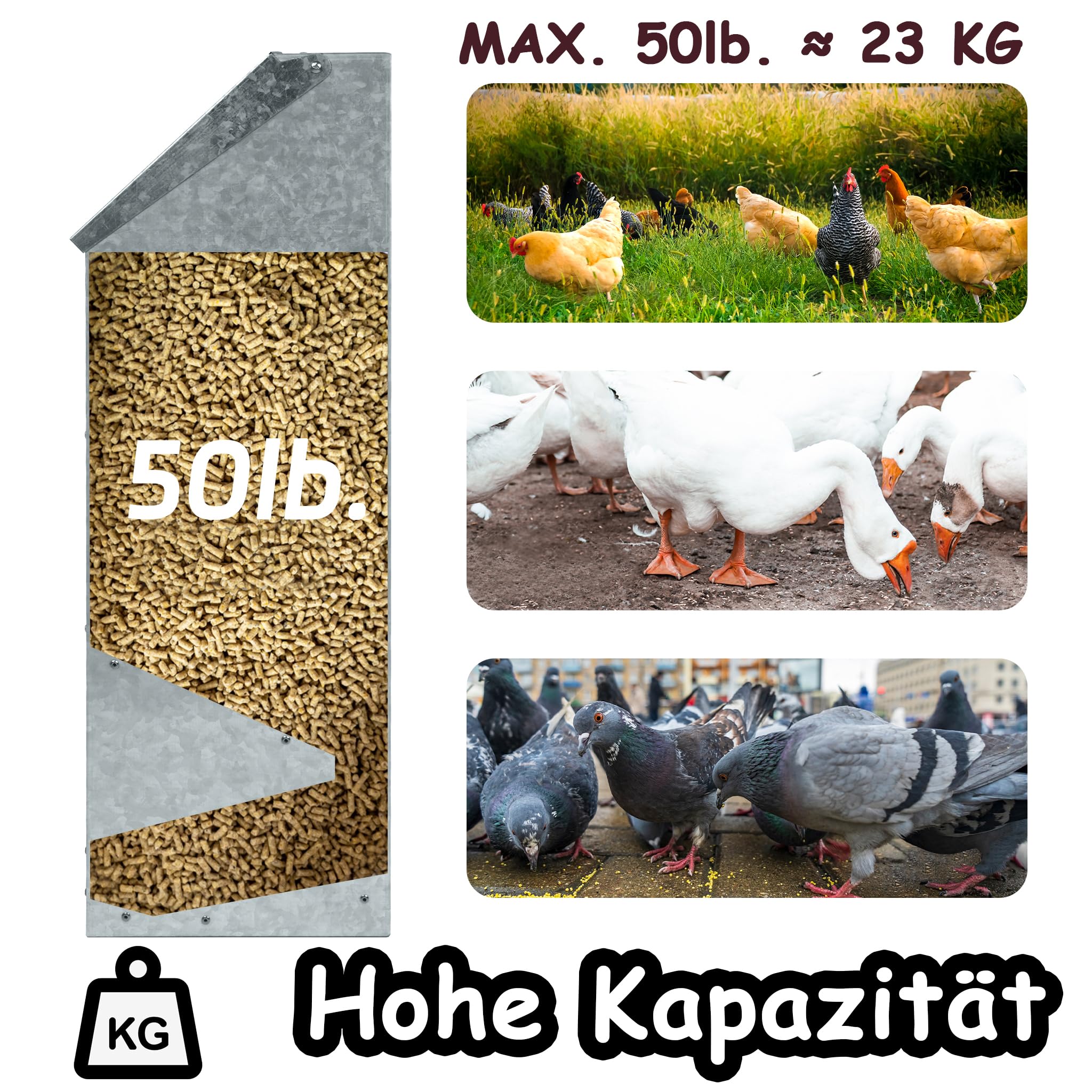VINGO Mangeoire poules en acier galvanisé – Distributeur automatique 5KG avec pédale et