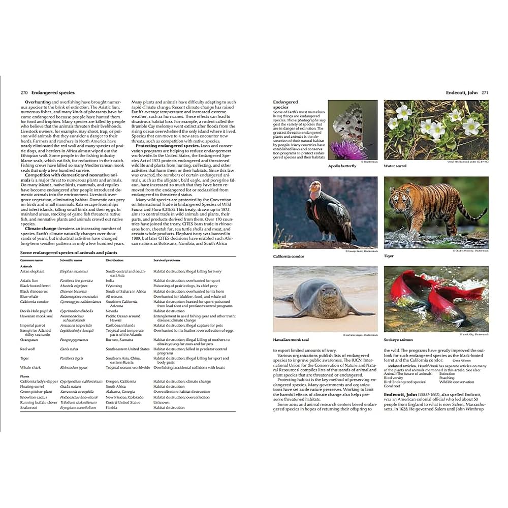 The World Book Encyclopedia 2025 - Hardcover 22 Volume Set