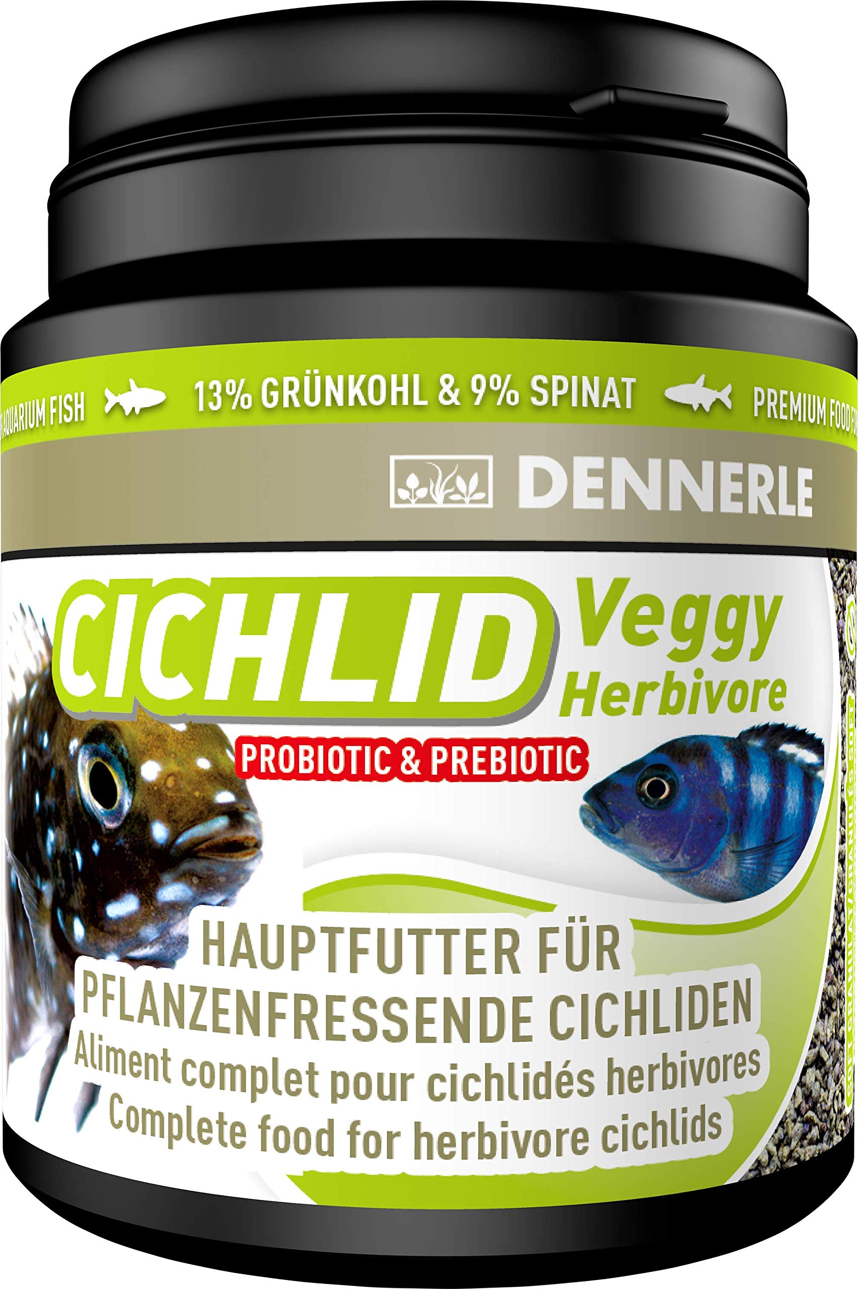 Cichlid