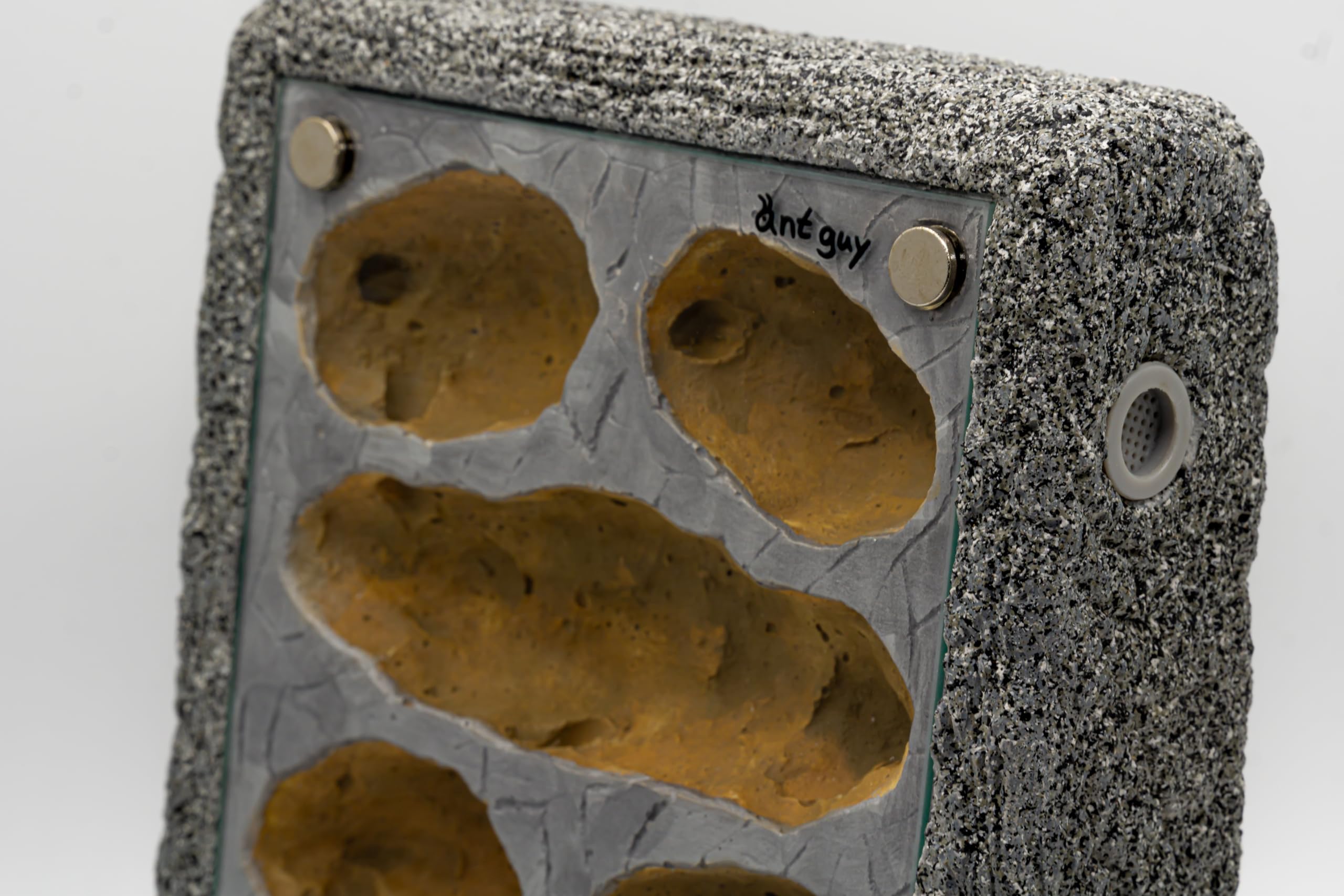 Formicarium Ameisennest Ameisenfarm in Granitoptik für Ameisen