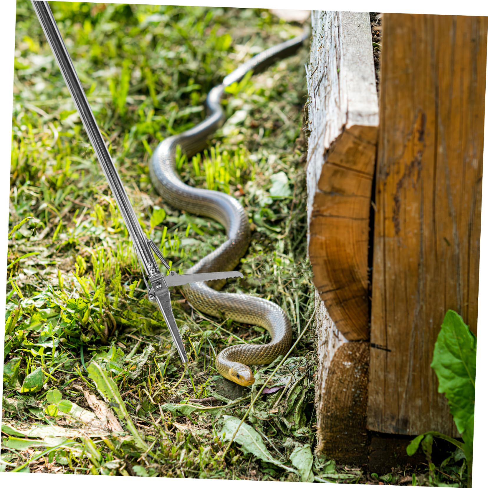 Pinces à Serpents en Acier Inoxydable Antidérapantes, Pliables et Portables, Outil Multifonctionnel pour Jardin et Activités Extérieures