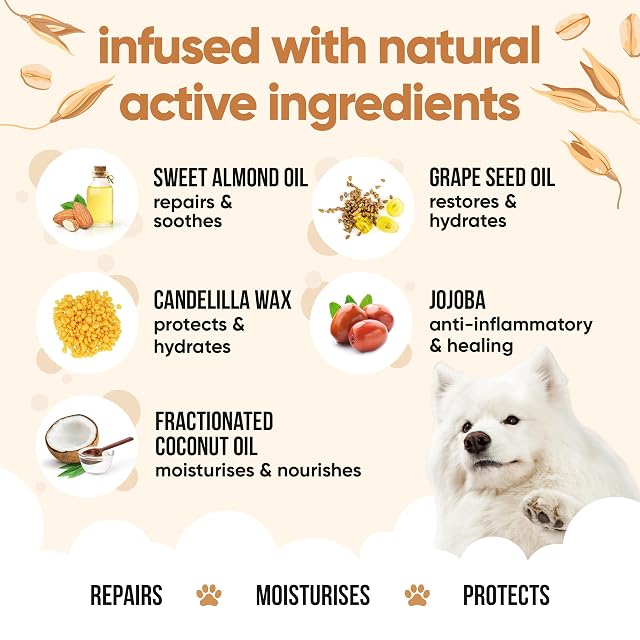 Foto 3 de 8 de Buddycare Bálsamo para patas y nariz de perro, la avena protege y repara la piel seca, agrietada y agrietada