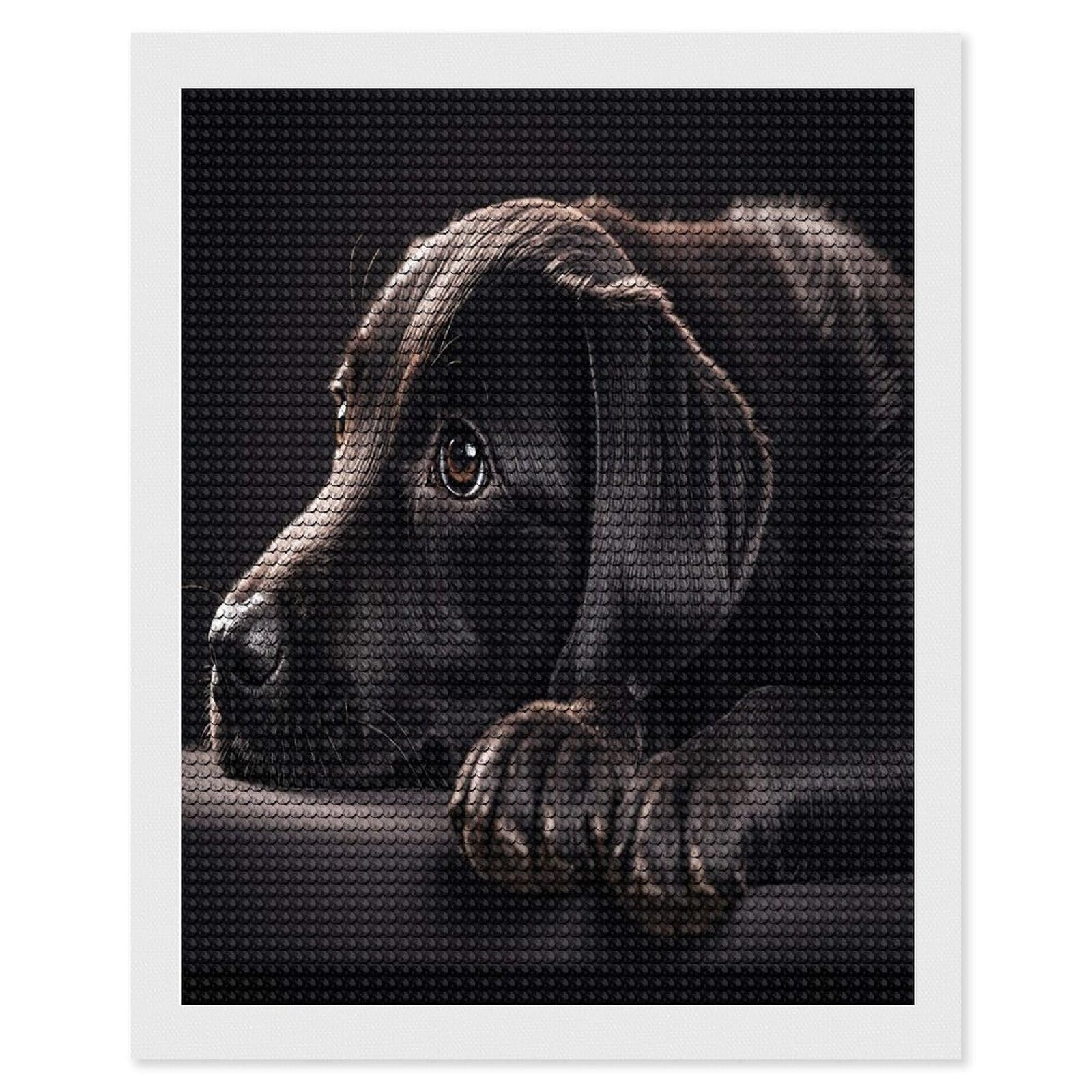 FekiLoot Black Labrador Puppy Diamond Painting Kits for Beginners DIY Diamond Art Kits for Adults Full Drill Round Diamond Dot Gem Art Painting Fun DIY Crafts for Home Kitchen Wall Decor Gift 16"x20"