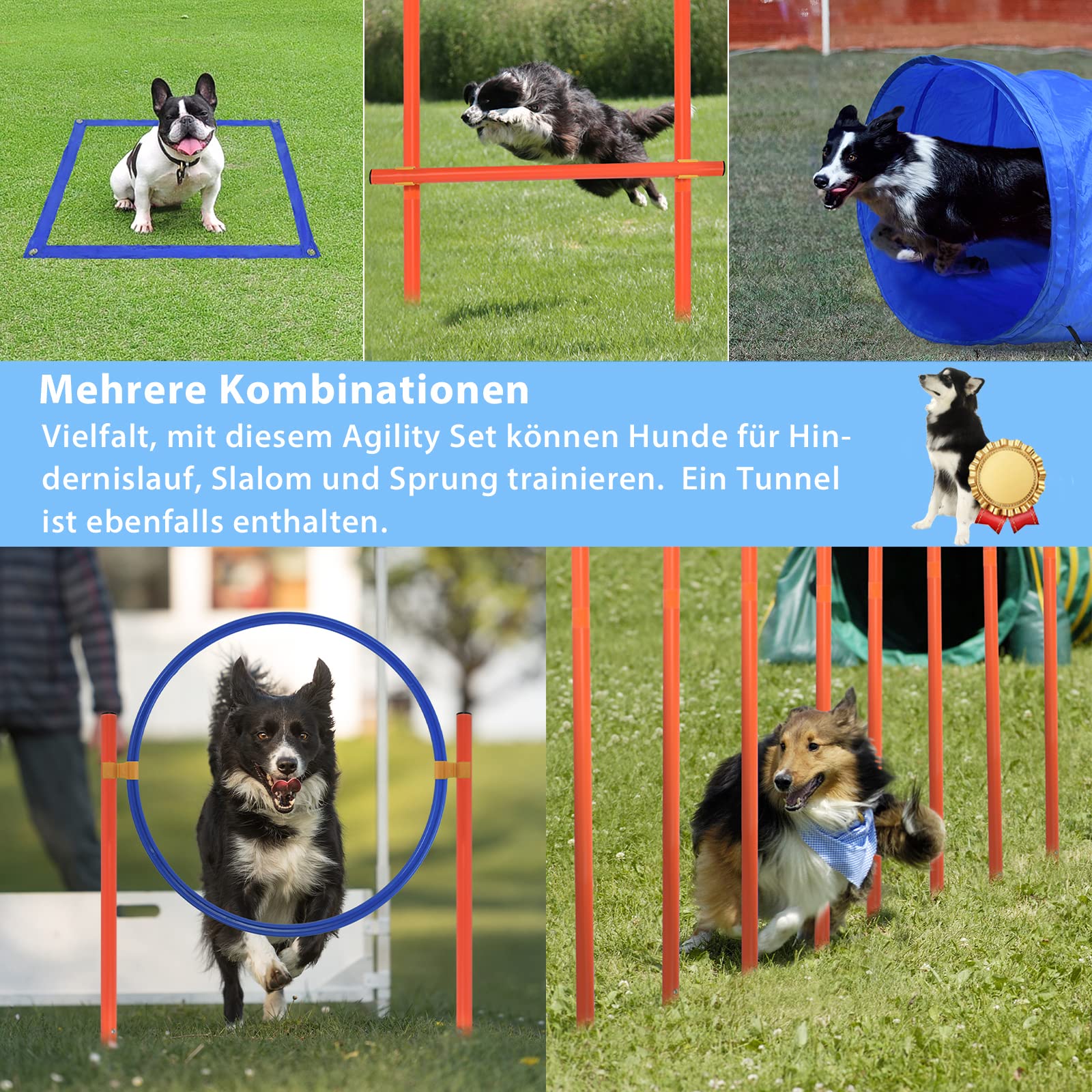 Agility Set für Hunde Trainingsset mit Hundetunnel, Höhenverstellbare Hürden, Hindernisse, Sprungring und Stangen, Haustier-Trainingsset inkl. Tragetasche für Hundesport, Indoor & Outdoor
