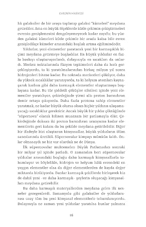 Evrenin Hikayesi, İnsanlığın Tarihi: Uzun Bir Tarih, Kısa Bir Kitap