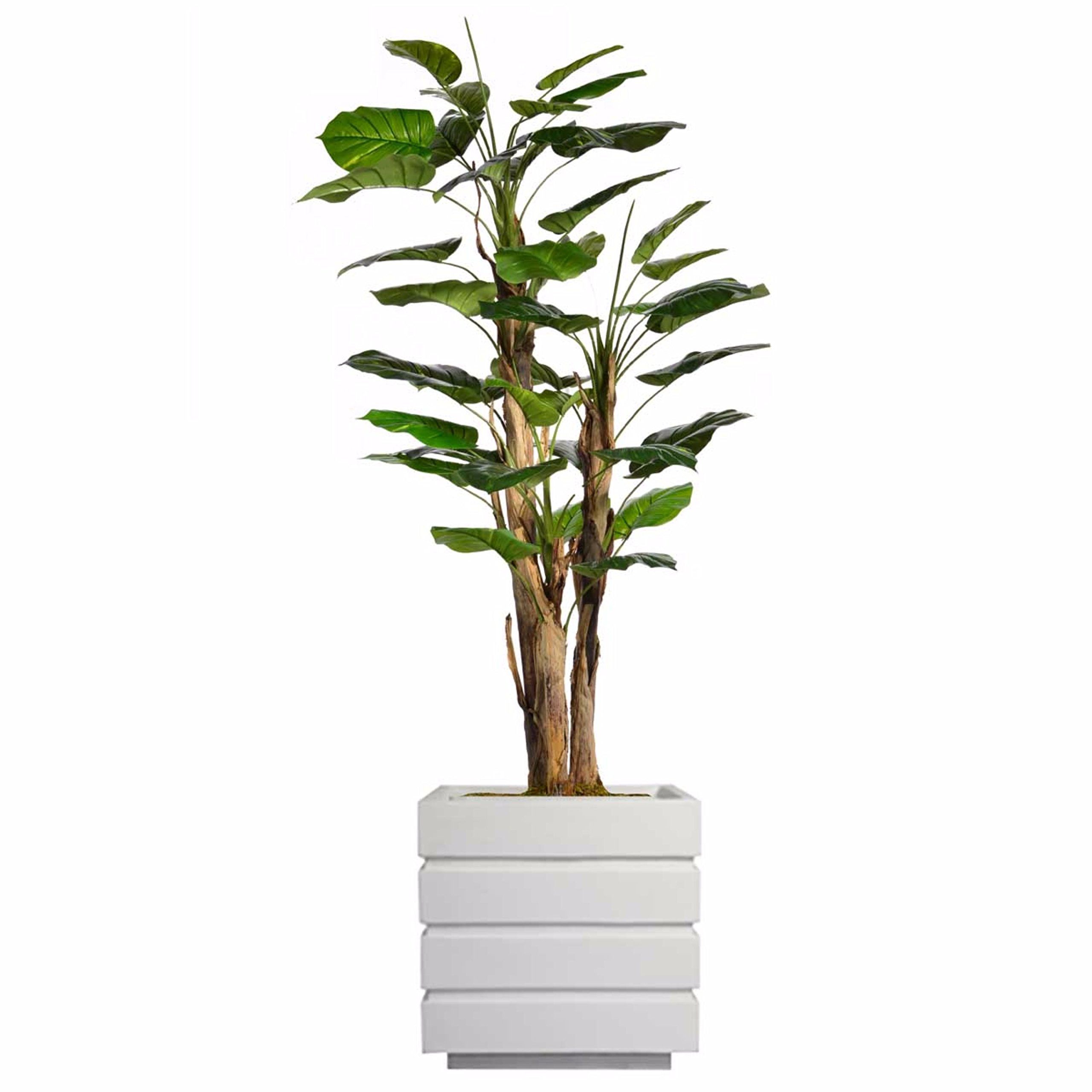 Vintage HomeArtificial Faux Scindapsus Aureus and Banana Skin with Eco-Paper Planter with Eco Planter (VHX134211)