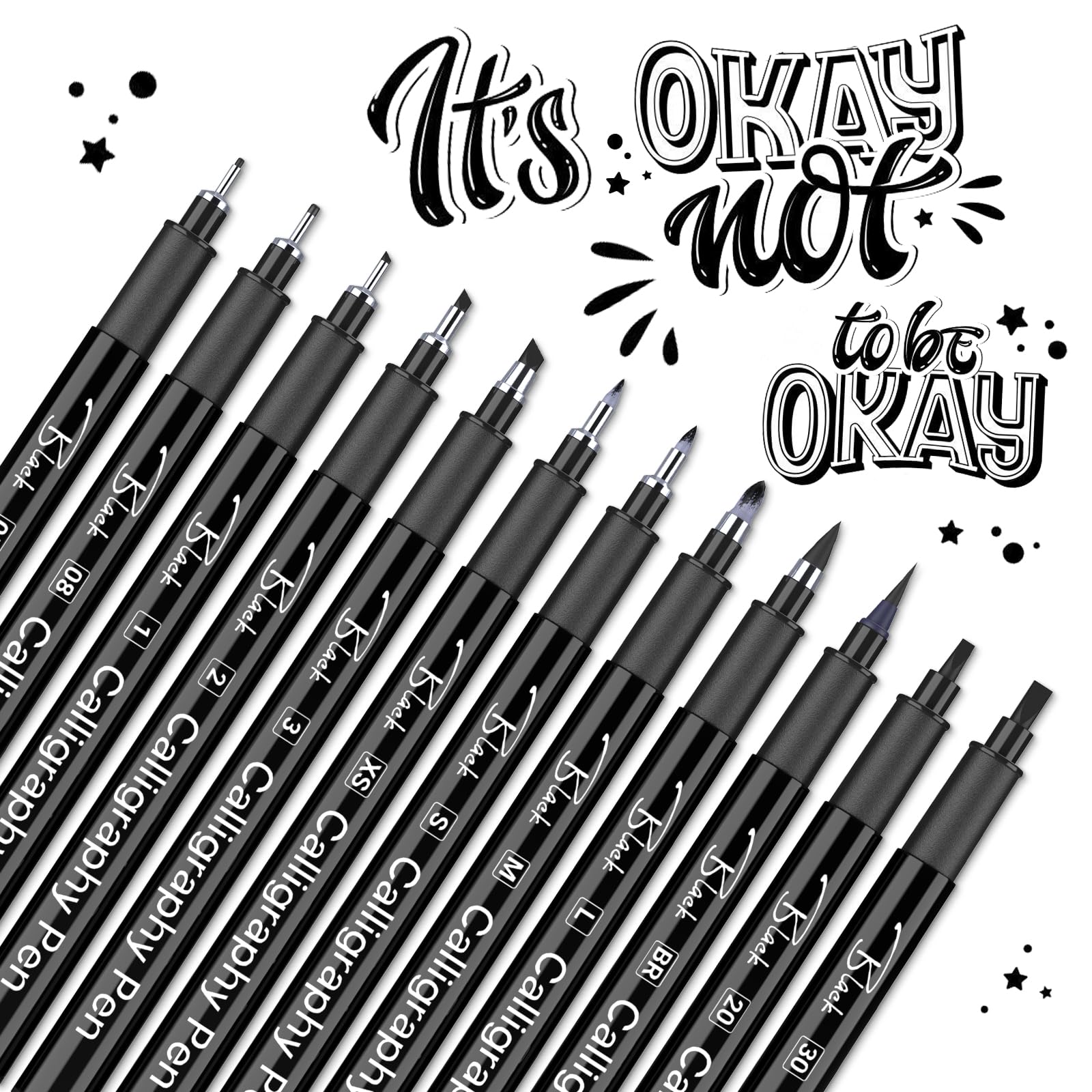 Calligraphy Pens, 12pcs Calligraphy Set for Beginners Brush Pens Black Drawing Pen