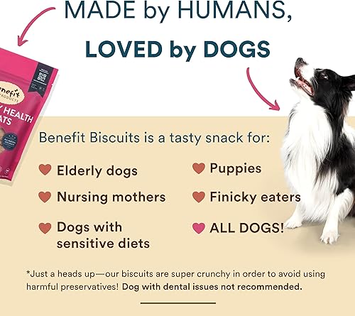 Miniatura 5 de Benefit Biscuits, golosinas naturales para perros, certificadas veganas, sin OMG, sin trigo, galletas saludables para perros, fabricadas en Estados