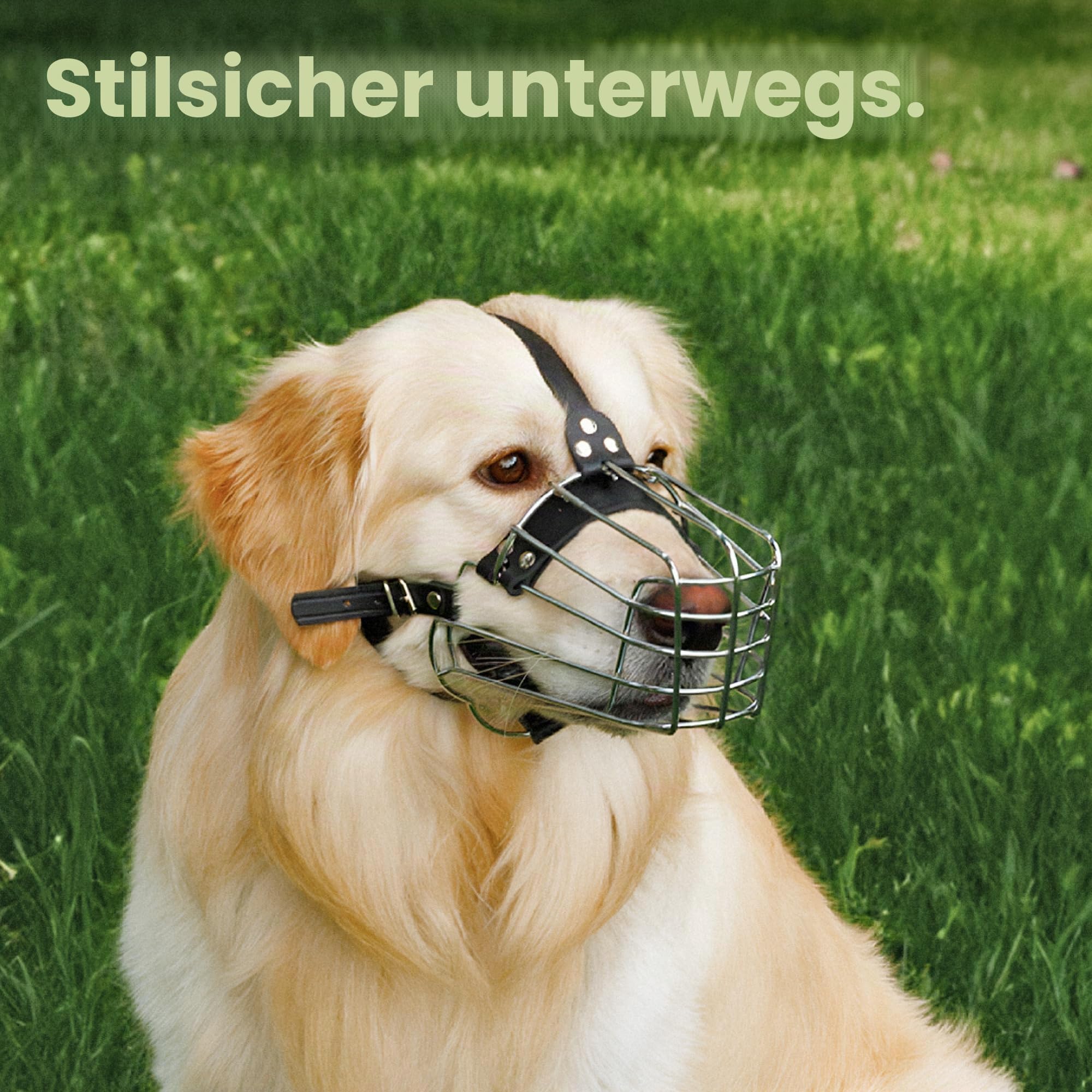 BRONZEDOG Drahtkorb Hund Maulkorb Metall Hund Maulkorb Leder verstellbar (Size 5: Belgian Malinois & Golden Retriever)