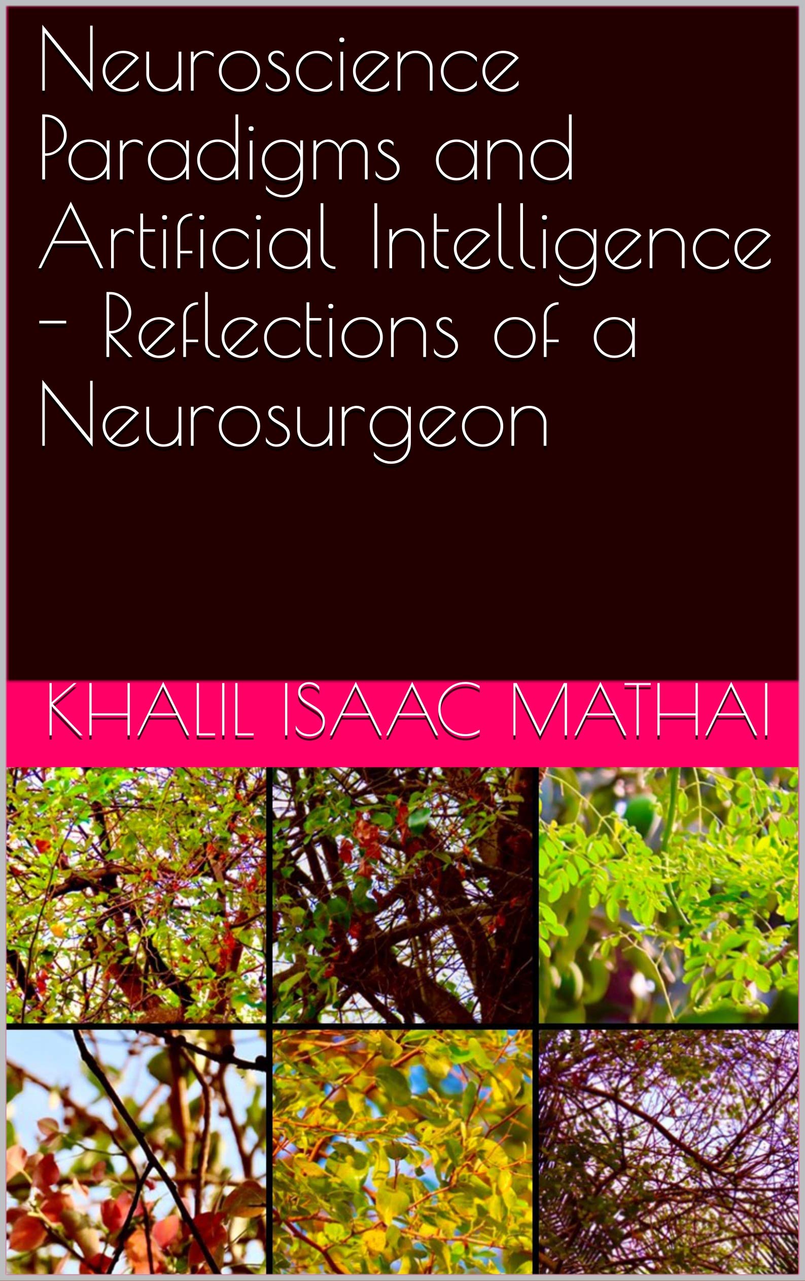 Neuroscience Paradigms and Artificial Intelligence - Reflections of a Neurosurgeon