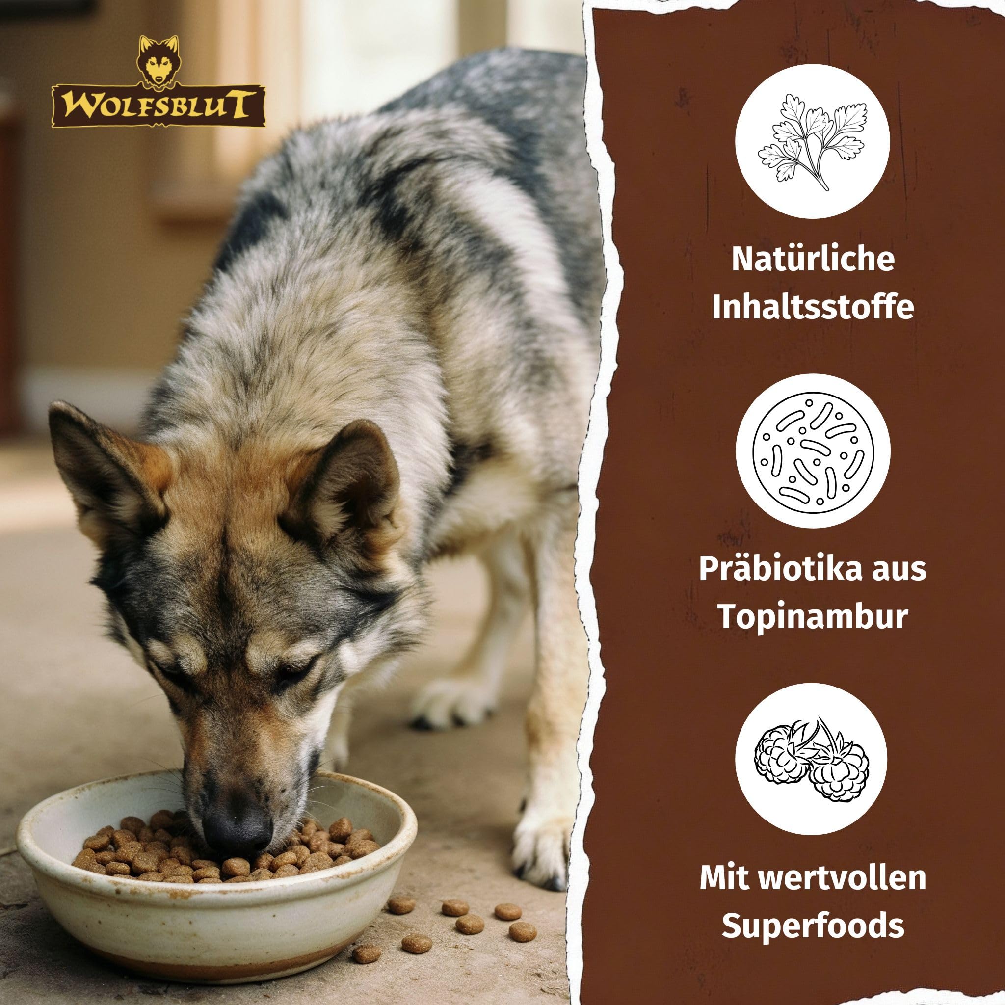 Wolfsblut Wild Duck & Turkey 12,5 kg