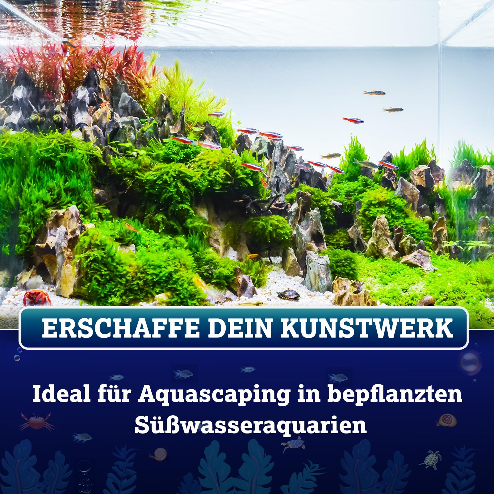 Ferrdrakon Nachfüllpack 5,0l Eisendünger Aquarium | Aquarium Pflanzendünger hochkonzentriert | Flüssig Dünger für Intensive Blattfärbung | Basis-Düngung für Aquarienpflanzen Wachstum