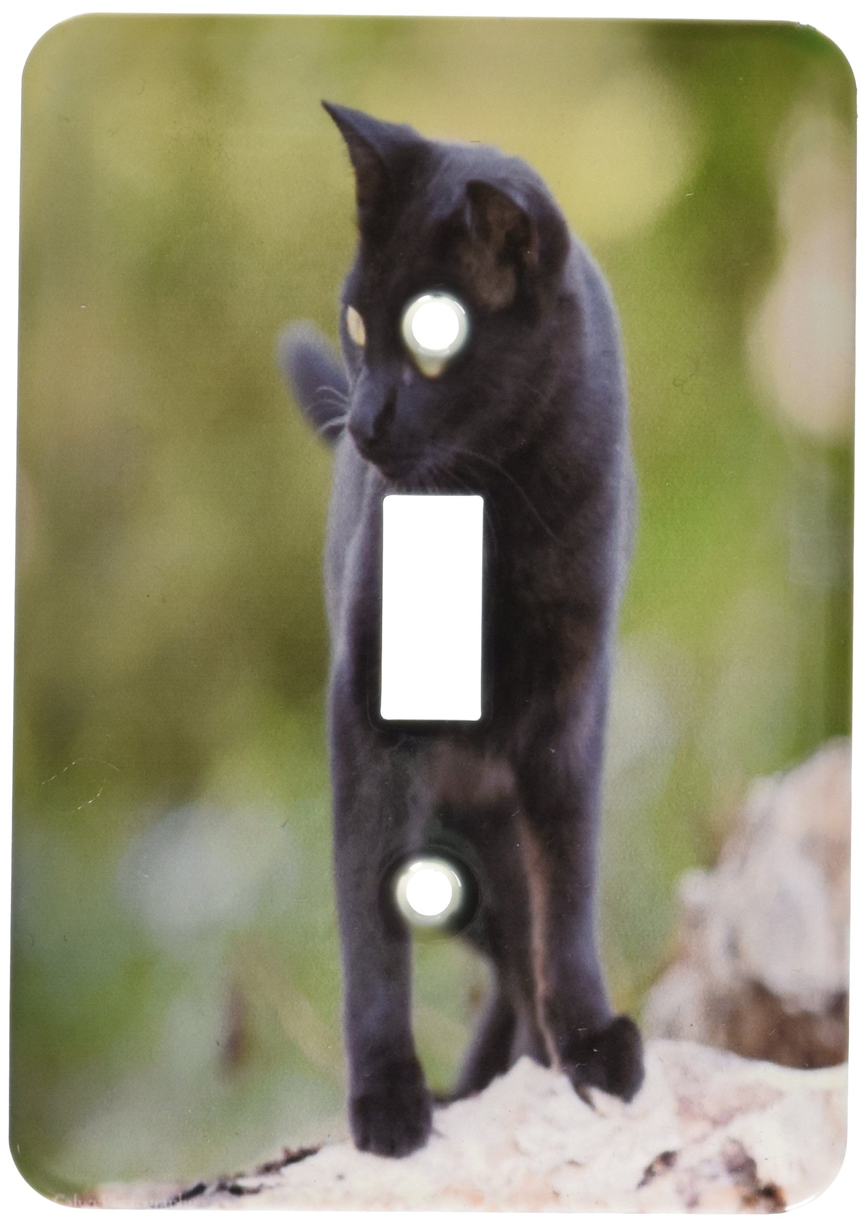 Interrupteur chat noir haut de gamme 3drose LSP 47154 finition bois