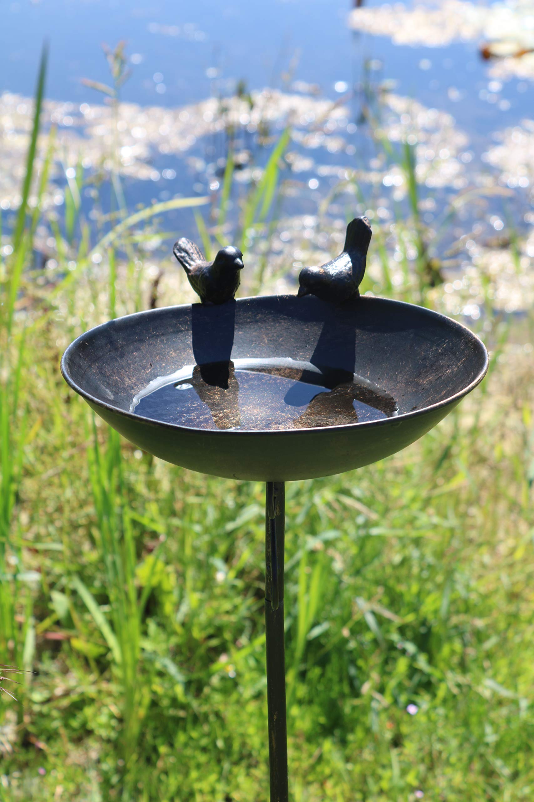 AmaCasa Vogeltränke Vogelbad Vogelbecken Wassertränke Tränke Wasserschale Stecker Braun Eisen