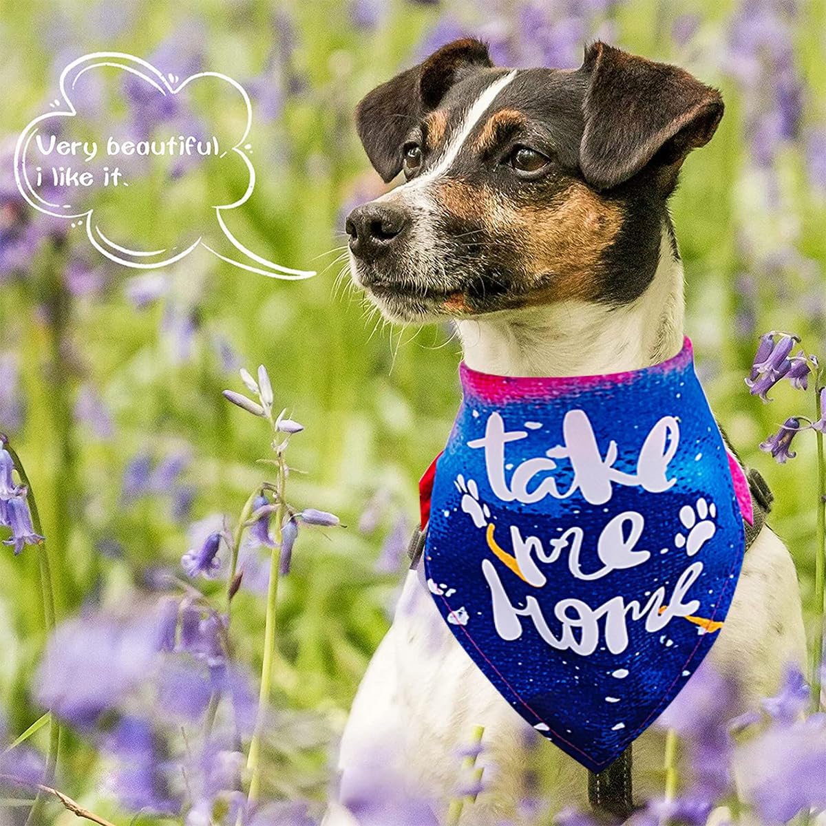 30Pcs/Pack Adopt Me Dog Bandanas Bulk Stitching Hemming Selvedge Sewing Scarves with Paw Print for Small Medium Foster Animals to Look for Homes or Adoption