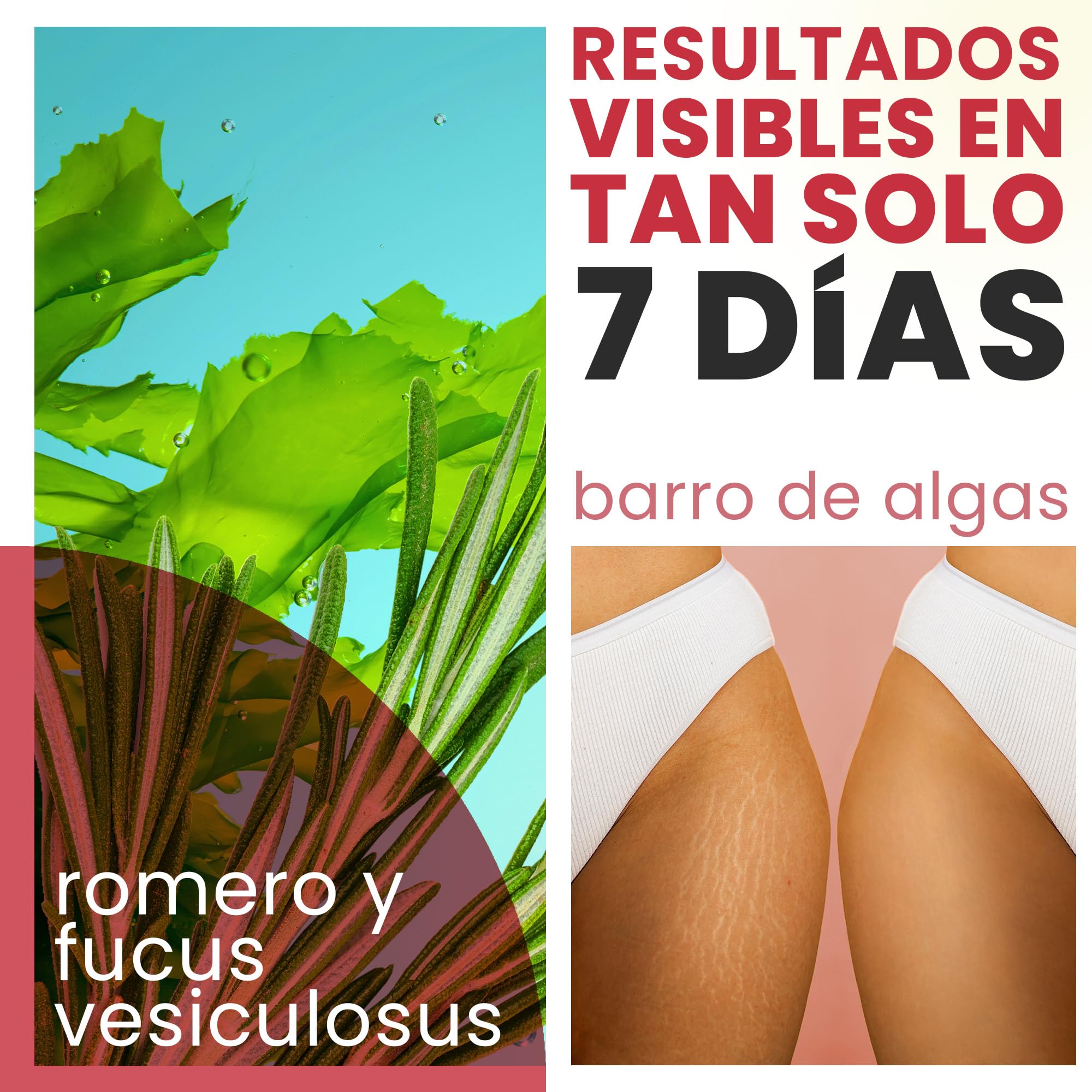 Barro de Algas Anticelulitico: Combate Celulitis y Flacidez Corporal. Efecto Reafirmante y Resultados Visibles. Fango Profesional SPA Tratamiento de Choque - Ready To Use - 6000 g 6 kg