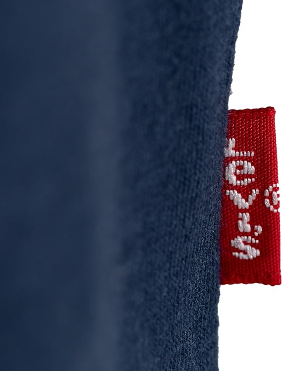 Levi's Boys Batwing Chest Hit Tee Boy