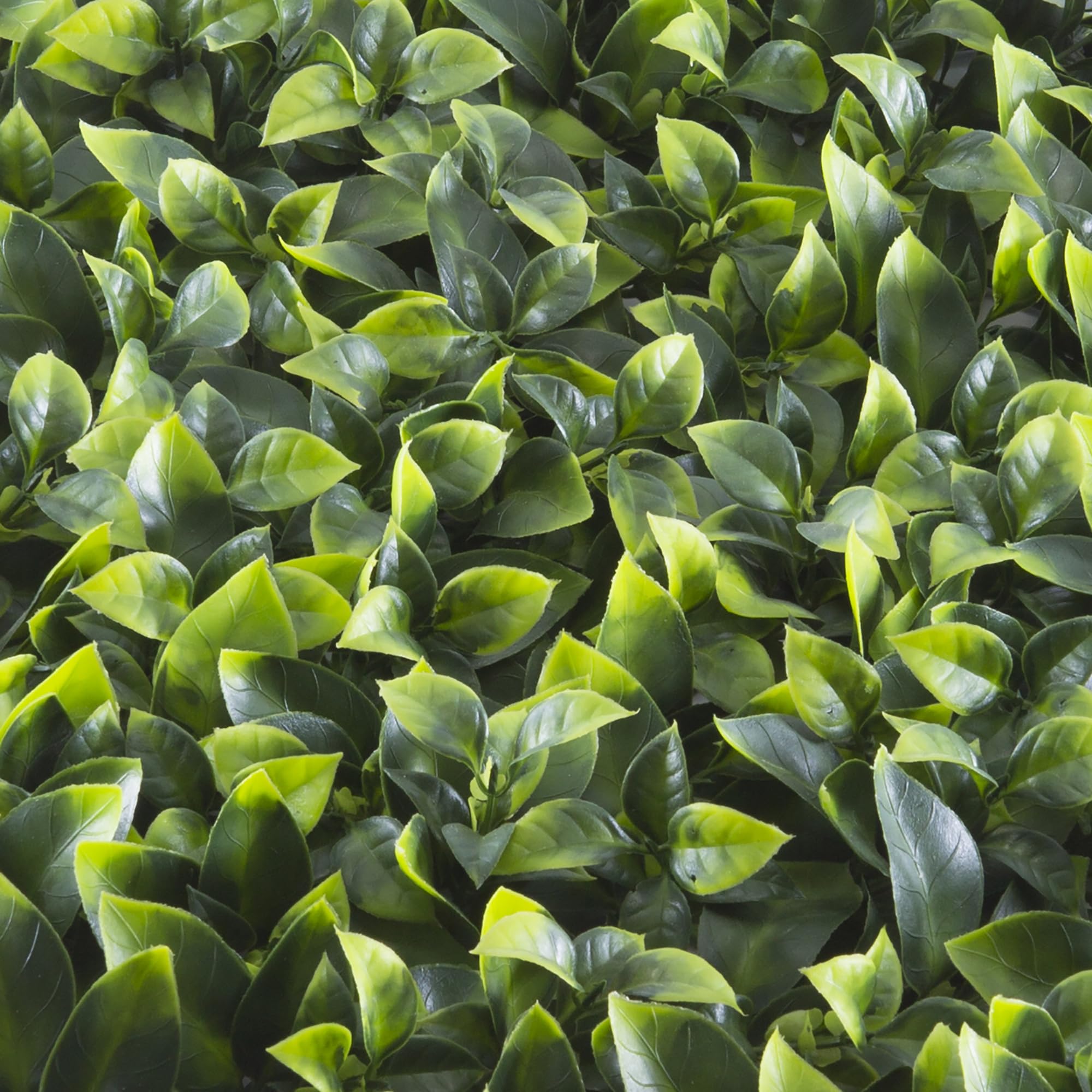 TENAX Divy Panel Photos 100x100 cm Verde, Panel Modular con Hojas Artificiales 3D Tipo Potos para Paredes, Jardines Verticales y Decoraciones de Interior/​Exterior