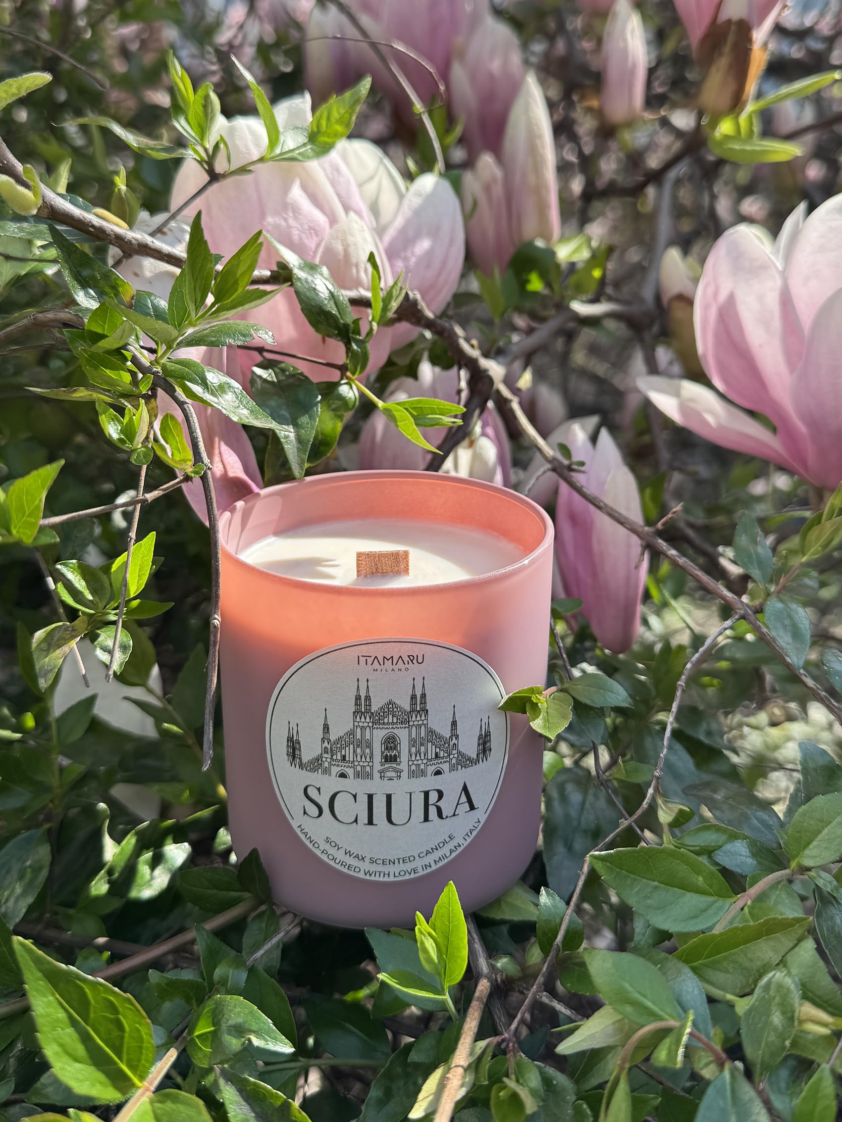 ITAMARU – Candela Profumata Artigianale Sciura, in Cera di Soia 100%, con Stoppino in Legno, Vetro Rosa, 270g – Handmade in Italia | Regalo Donna | Regalo Mamma