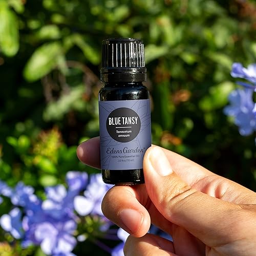 Miniatura 2 de Edens Garden Aceite esencial de tanaceto azul, 100% puro, grado terapéutico (aceite esencial de aromaterapia natural sin diluirhomeopático