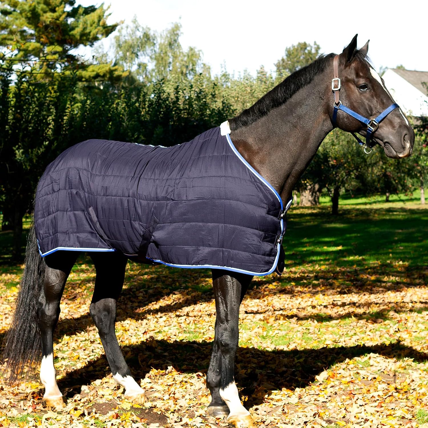 HORZE Glasgow Anti-Slip Stable Horse Blanket (100g Fill) - Dark Blue - 78 in