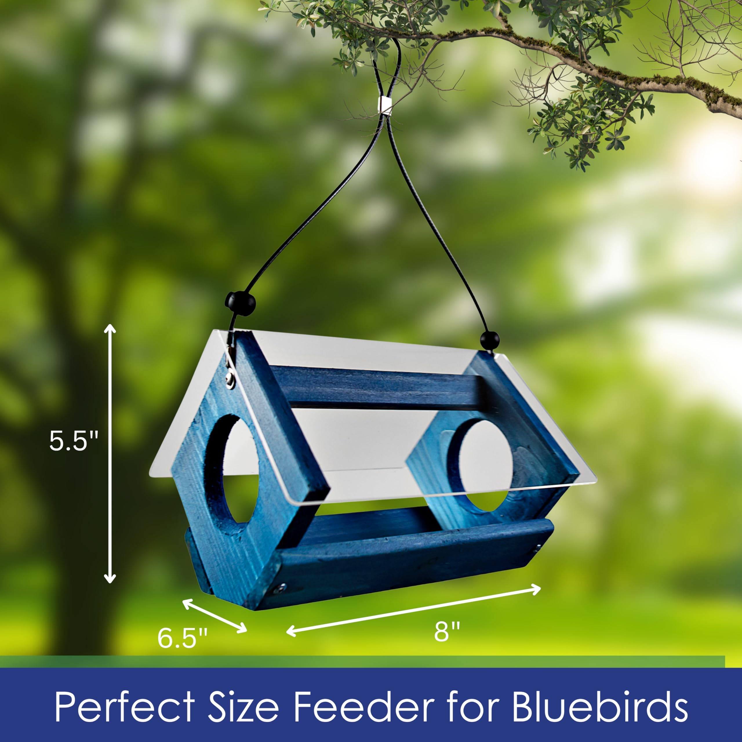Petite Bluebird - Comedero con Techo de plexiglás y Bandeja de alimentación de Malla de Acero