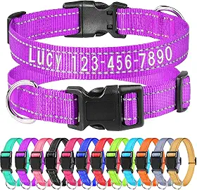 Coleira de cachorro bordada personalizada com nome e número de telefone do animal de estimação, coleiras refletivas de tamanhos ajustáveis personalizados com fivela de liberação rápida e anel em D
