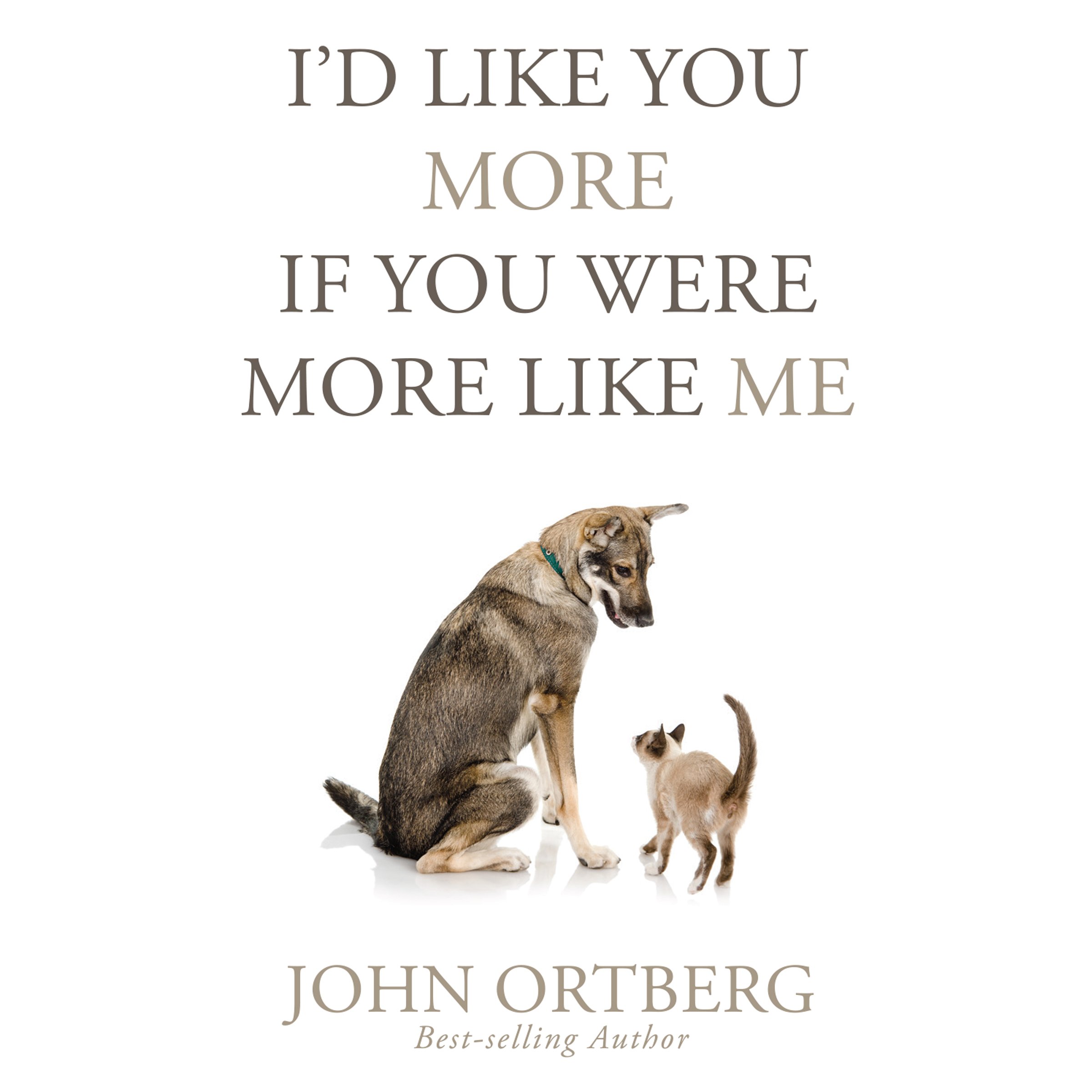 Cover art for I'd Like You More If You Were More like Me