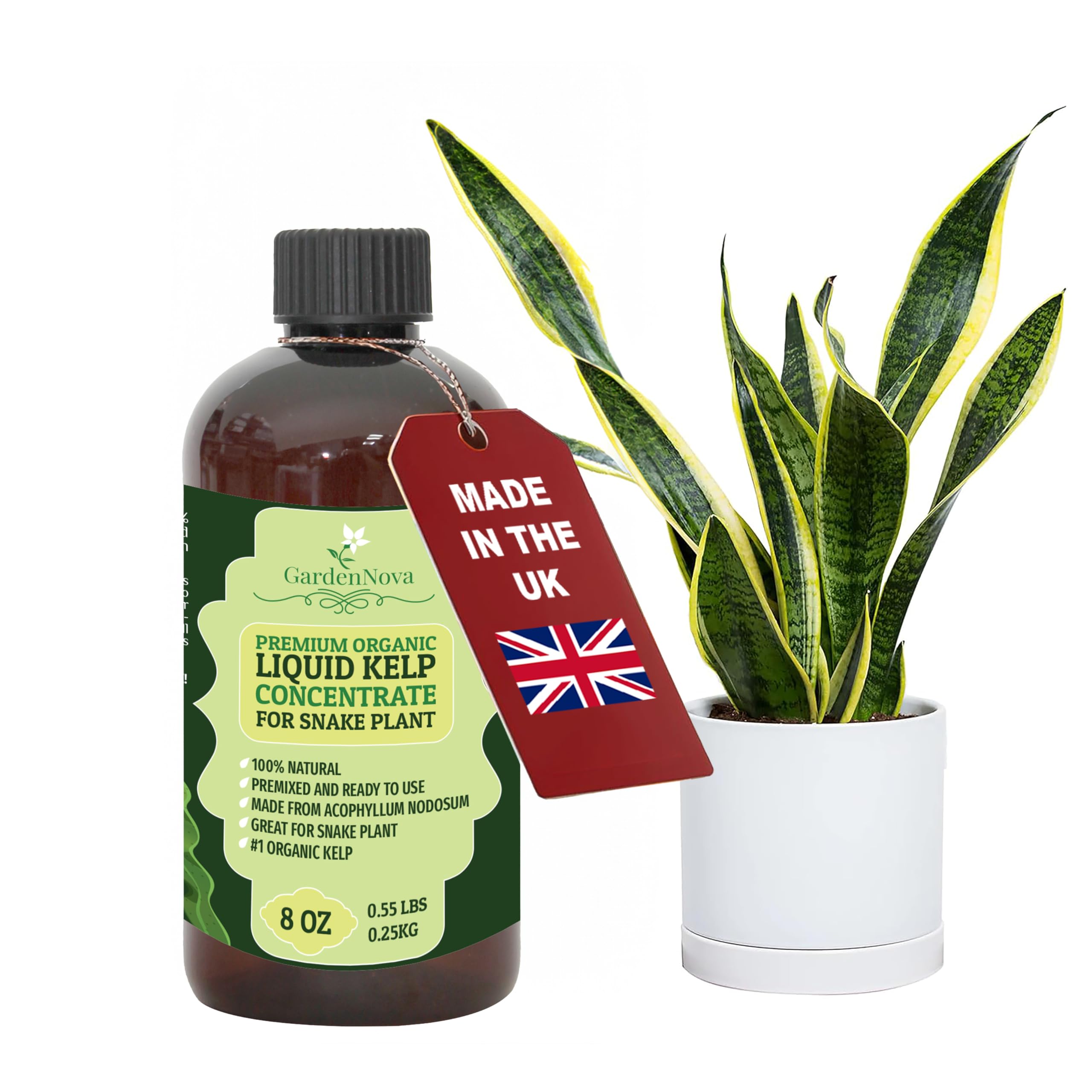 GARDENNOVA Premium Organic Seaweed & Kelp Superfood for Snake Plant Plants - 8 oz - Liquid Kelp Fertilizer Concentrate (Makes 25 Litres)